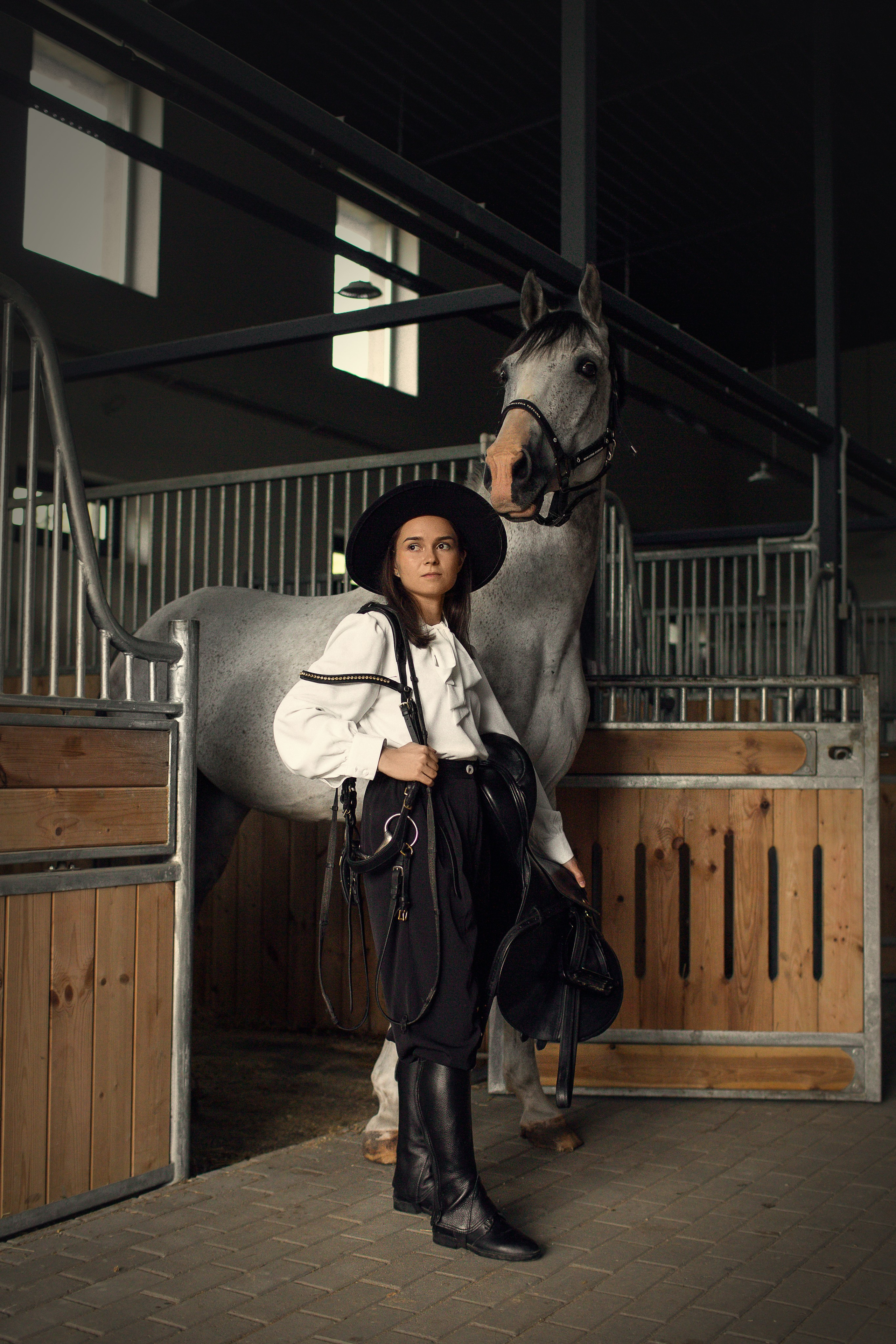 Фотодень с лошадьми в СПб