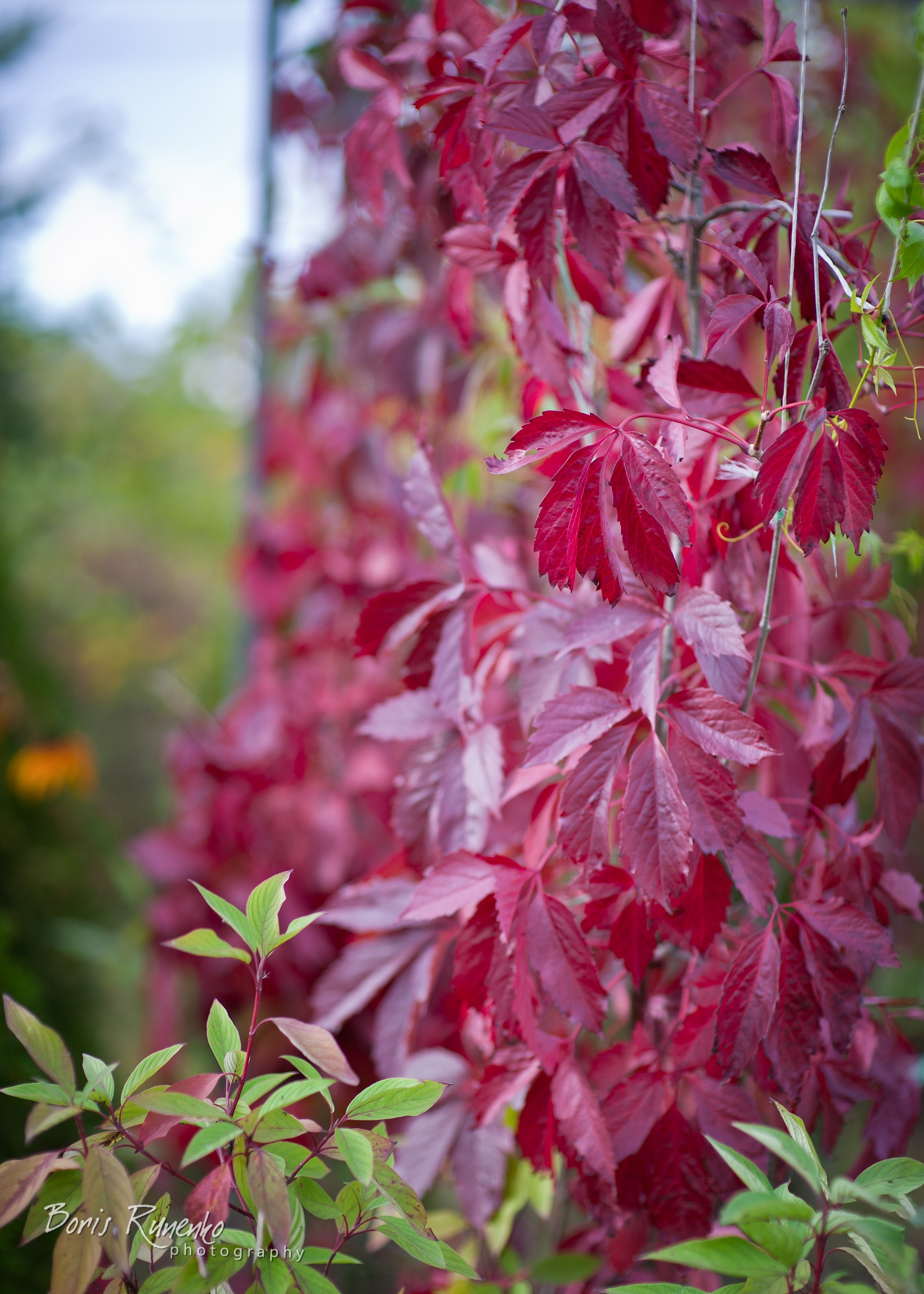 Пейзажный альбом 2. Борис Руненко. Пейзажный и travel-фотограф