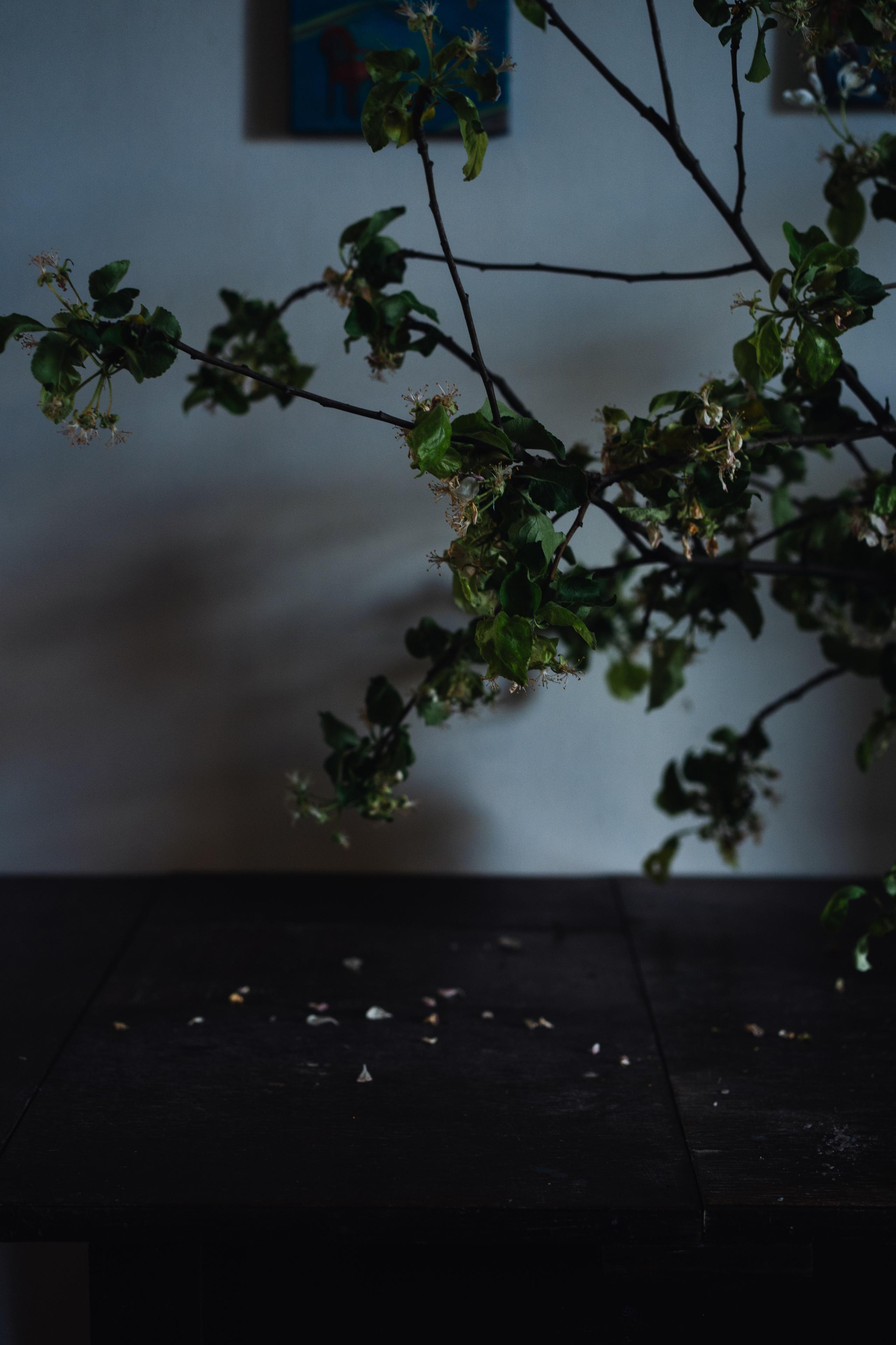 Ты — искусство. Портретный фотограф в Москве Анастасия Шагирова