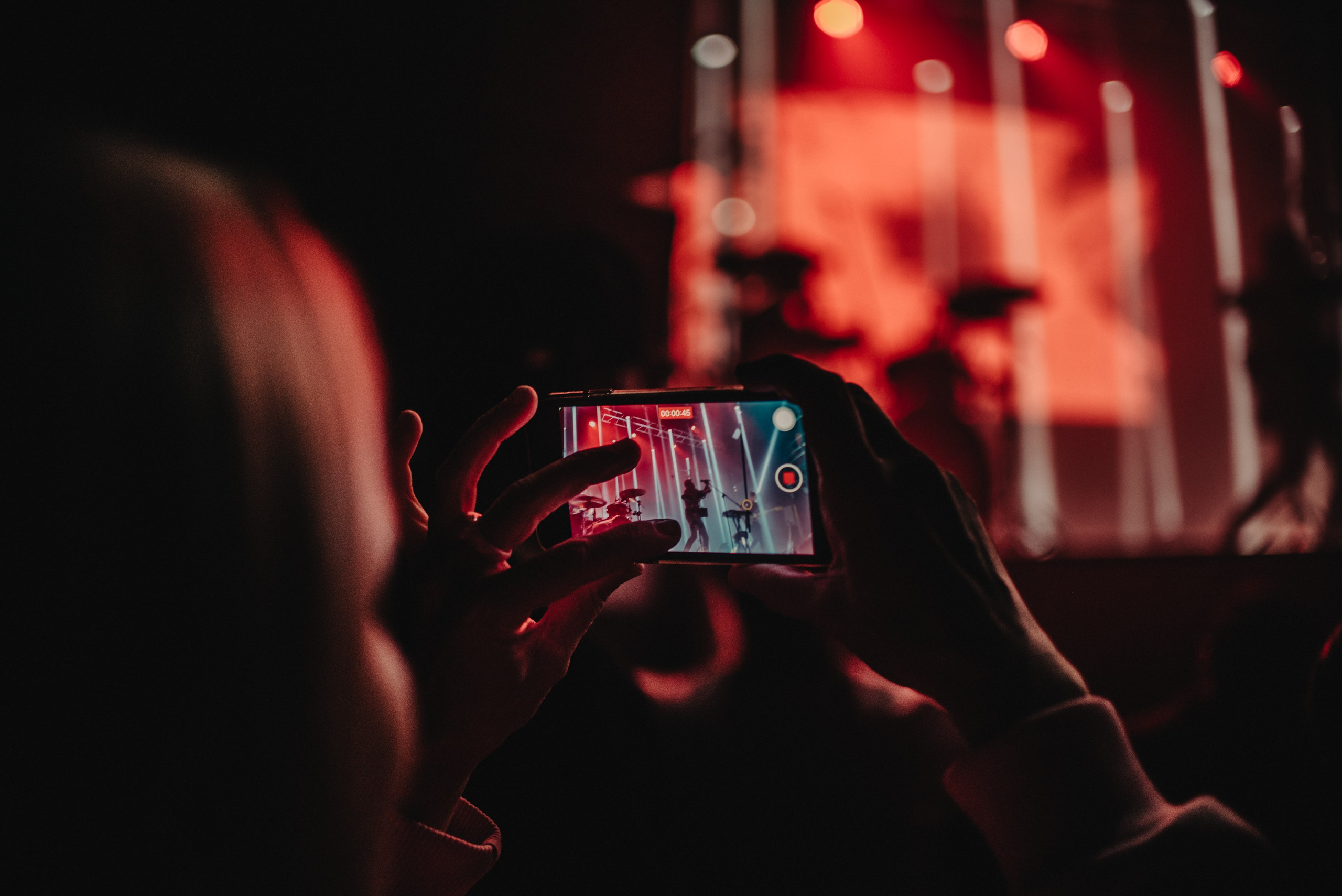 Дельфин | Gaudi. Контент фотограф Илья Урс