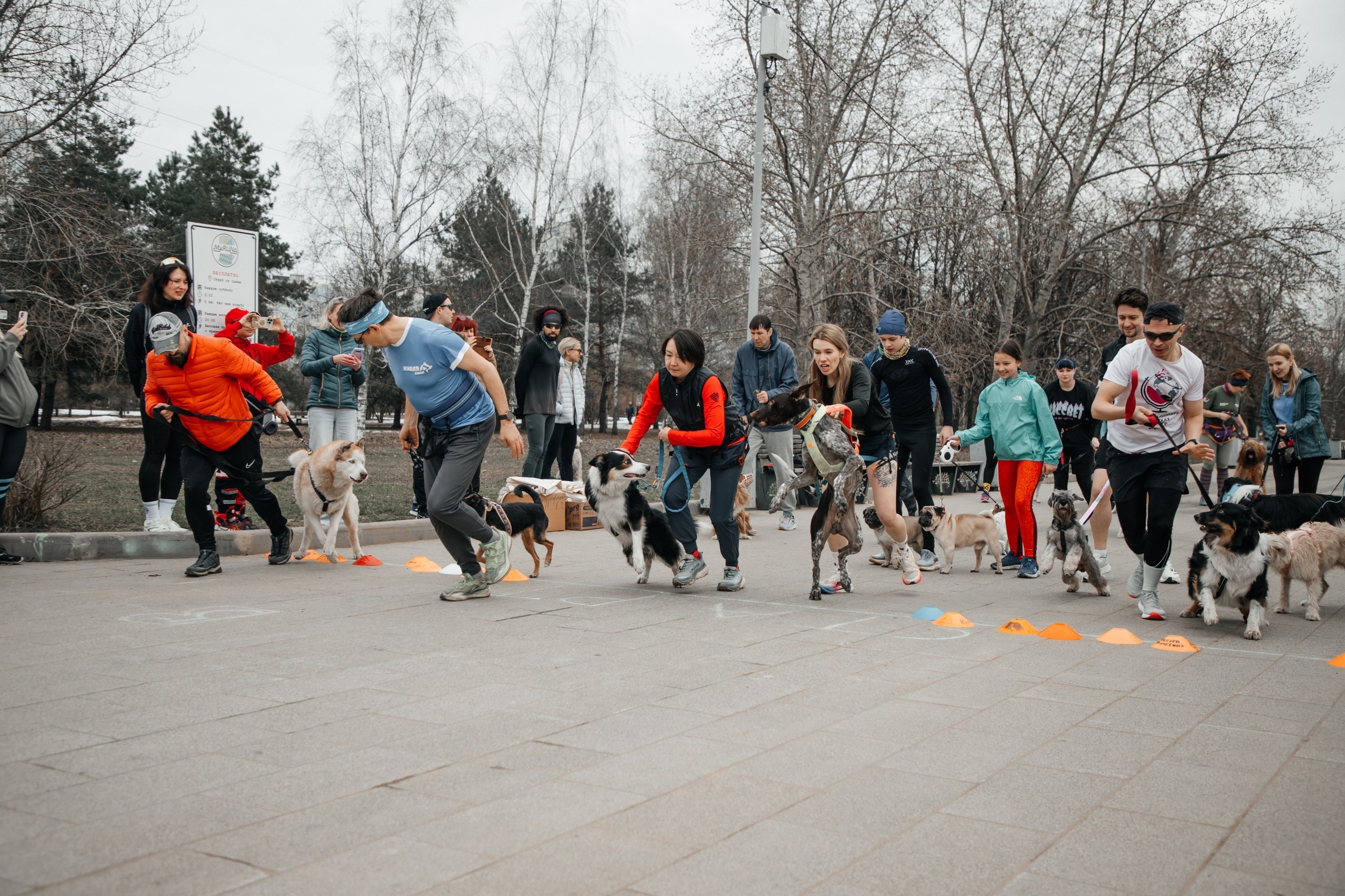 репортажная съемка москва, 