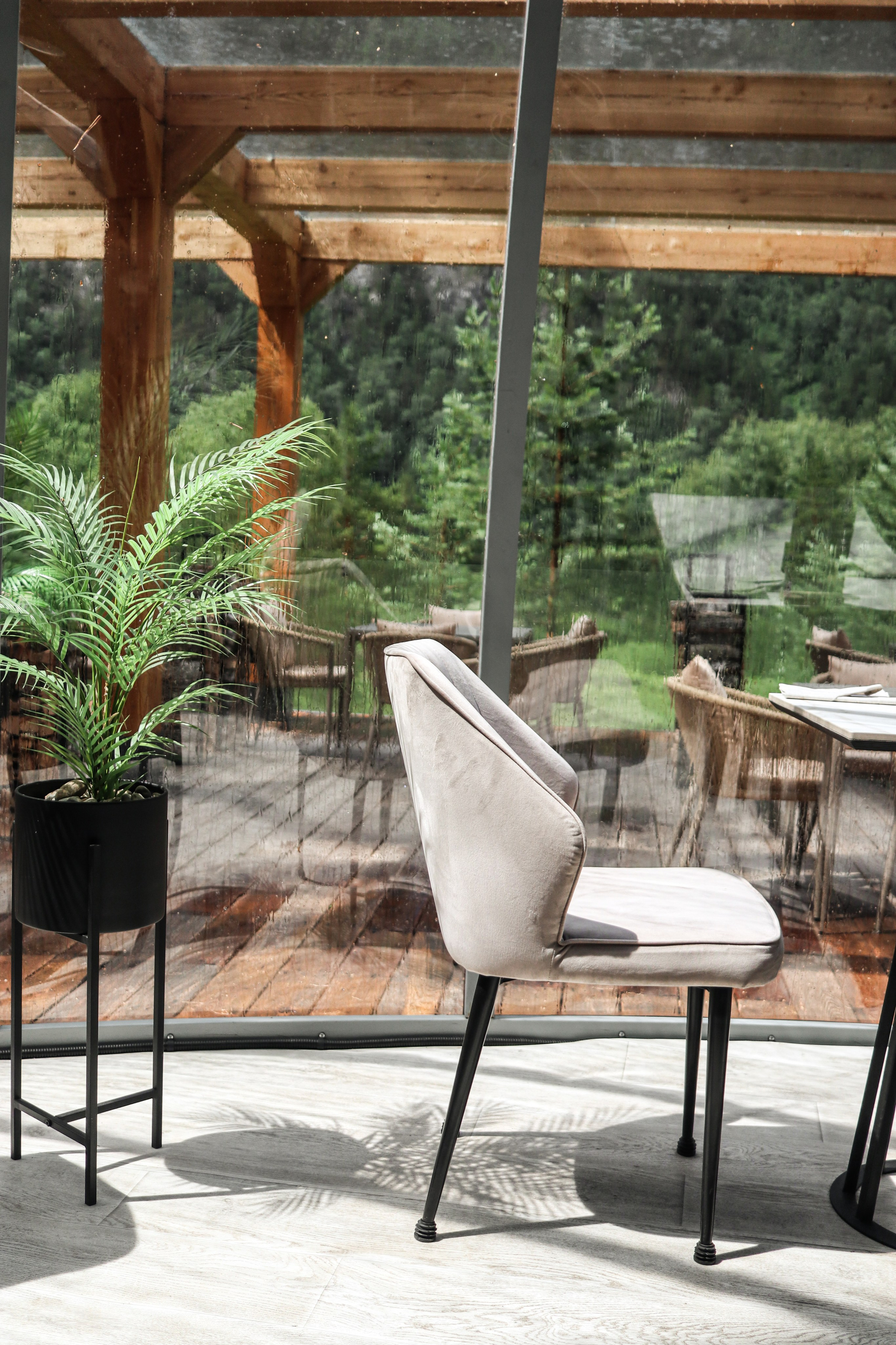 «Pinewood» парк-отель, респ. Алтай. Контент фотограф Дмитрий Борисов