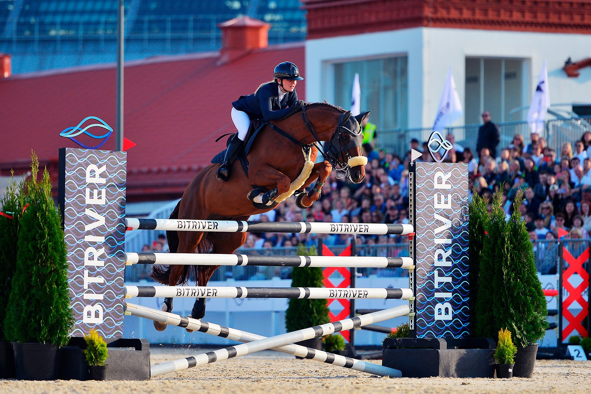 Репортаж Bitriver. Конный фотограф Alesya Safe