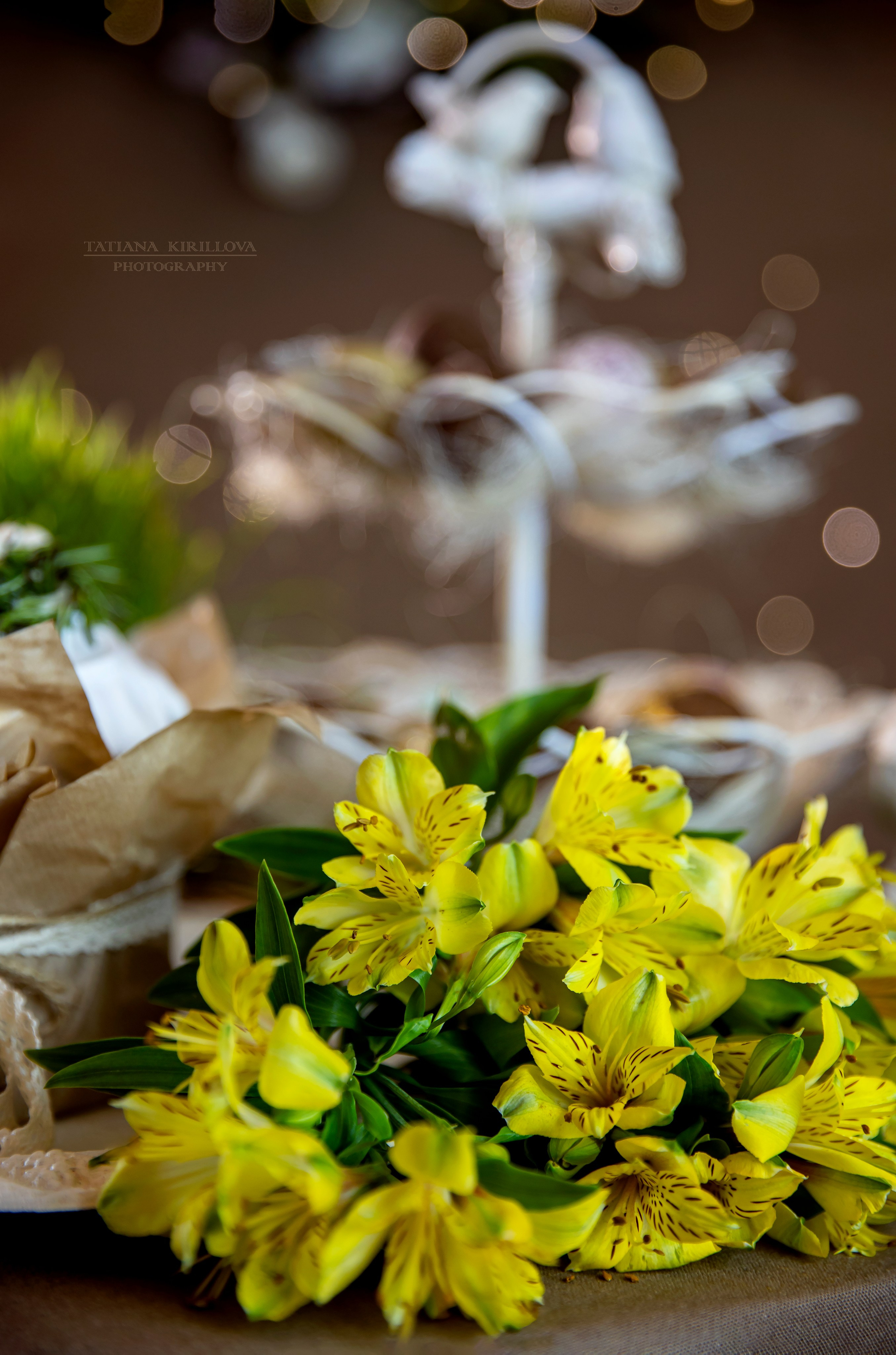 Предметная съемка, цветы, открытки. Фотограф — Татьяна Кириллова, г. Санкт-Петербург