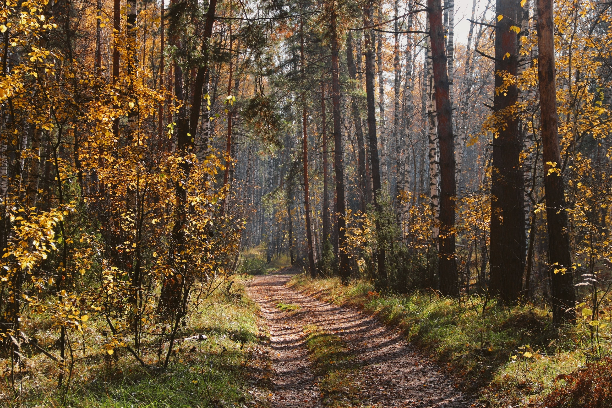 По тропе Паустовского. С любовью, фотохудожник