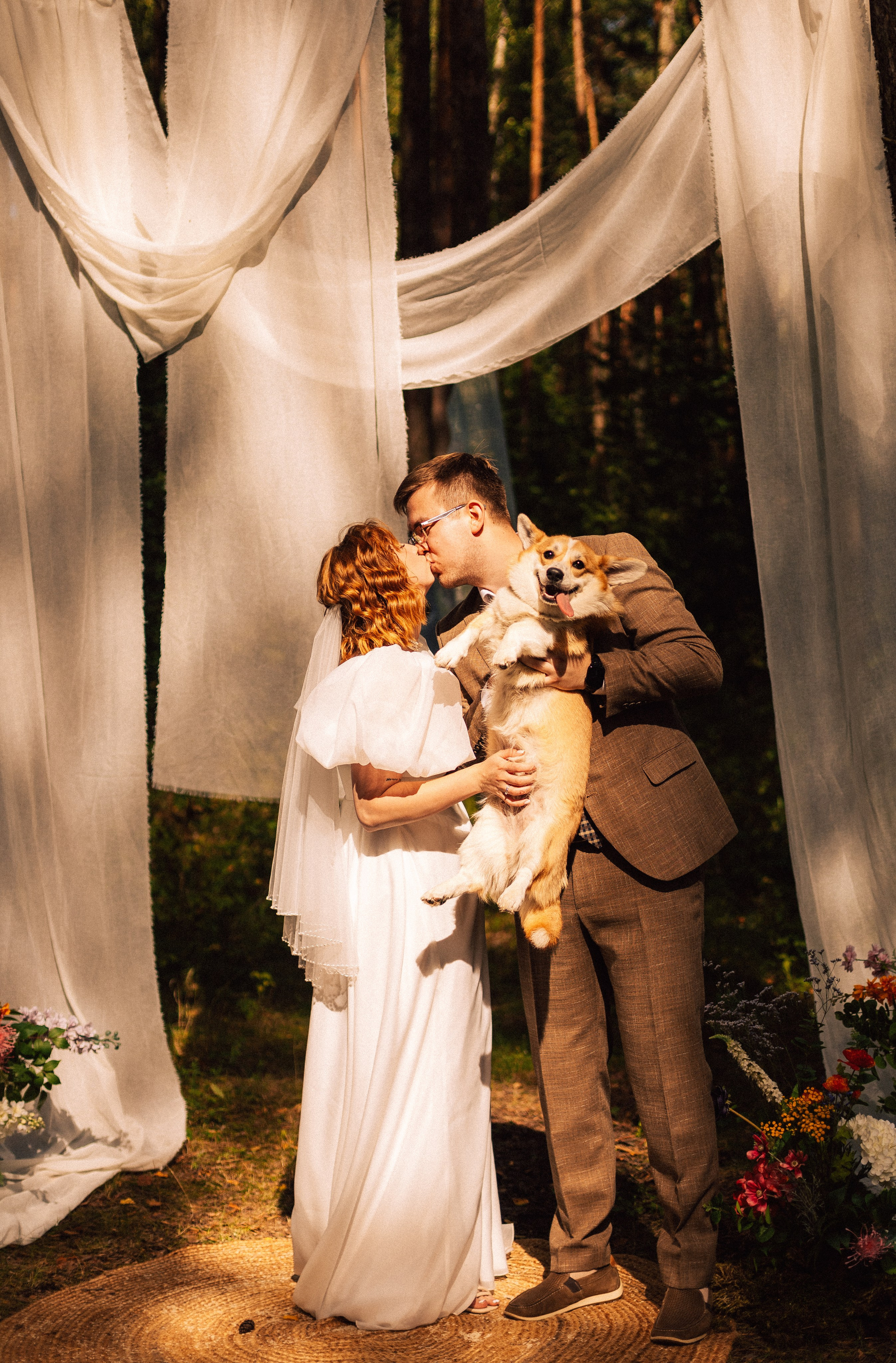 Корги свадьба в сосновом лесу. Фотограф Москва Жуковский Раменское