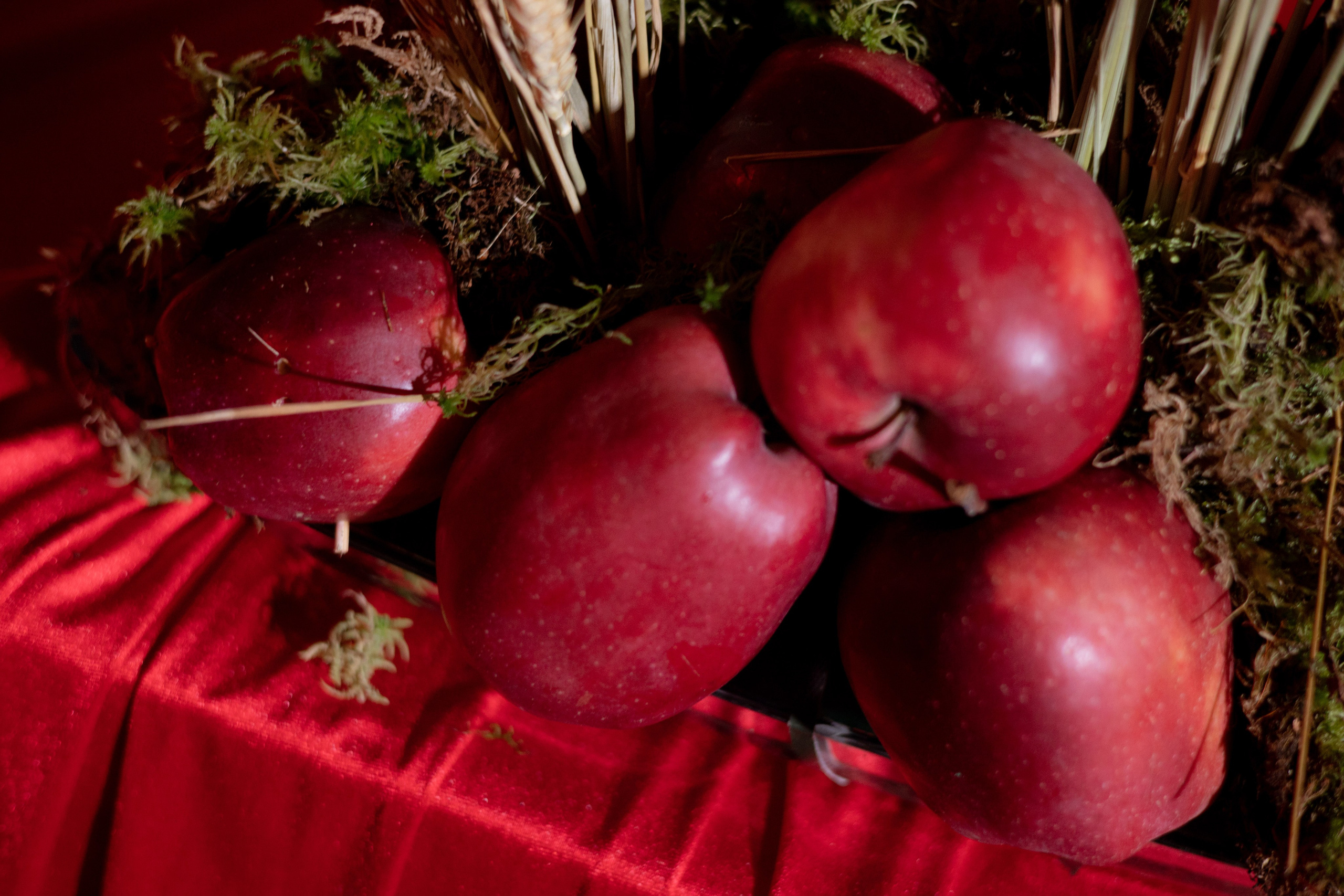 Новогодний корпоратив в фольклорном стиле. Особняк Лемана. Оформление свадеб, декор свадеб Вера Маркова, Москва