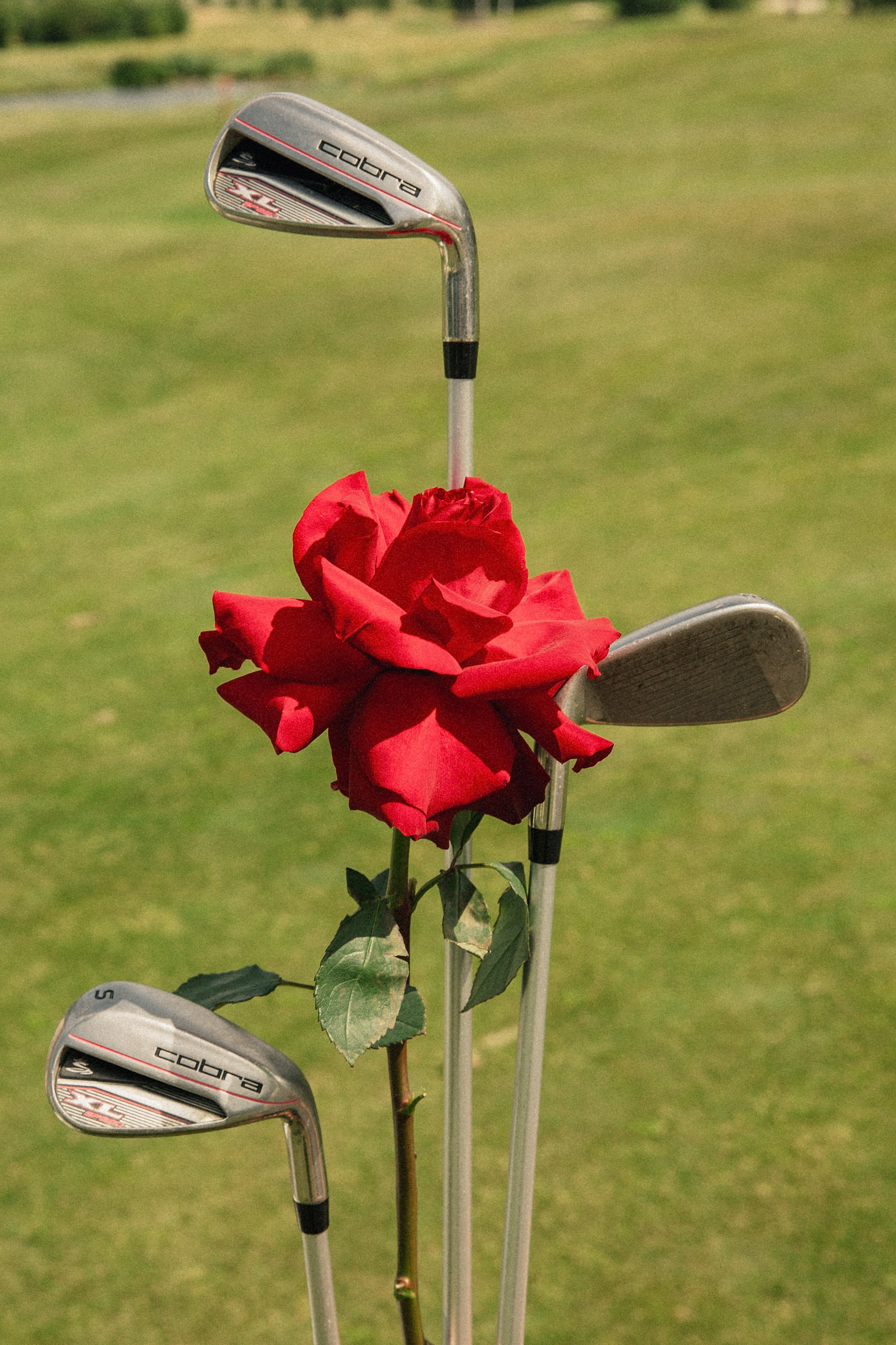 Михаил и Ирина