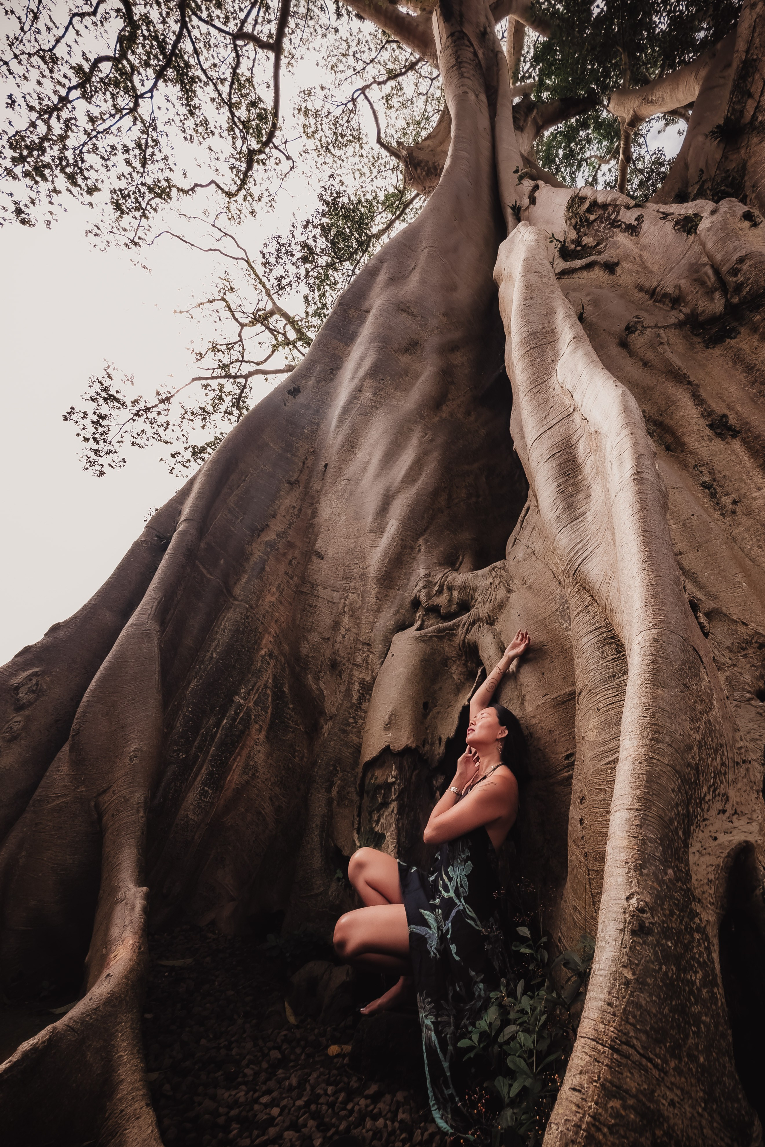 Banyan date. Mariam Bagdasaryan