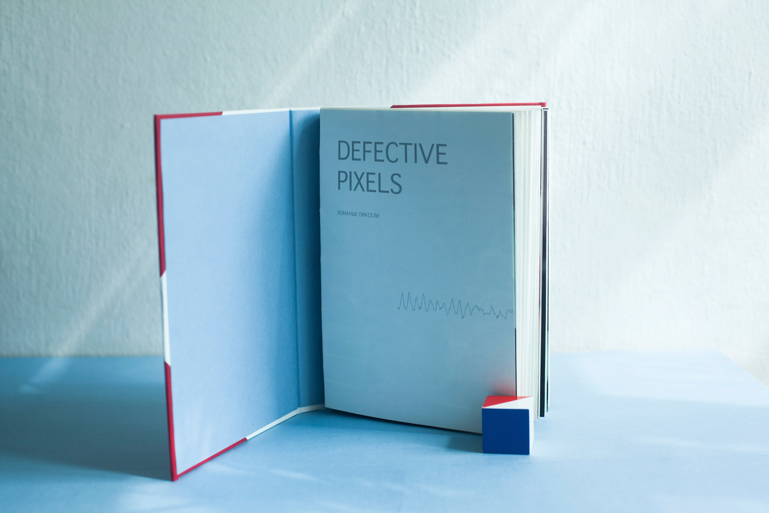 A book about the project. Aleksandra Mikhailova multimedia artist