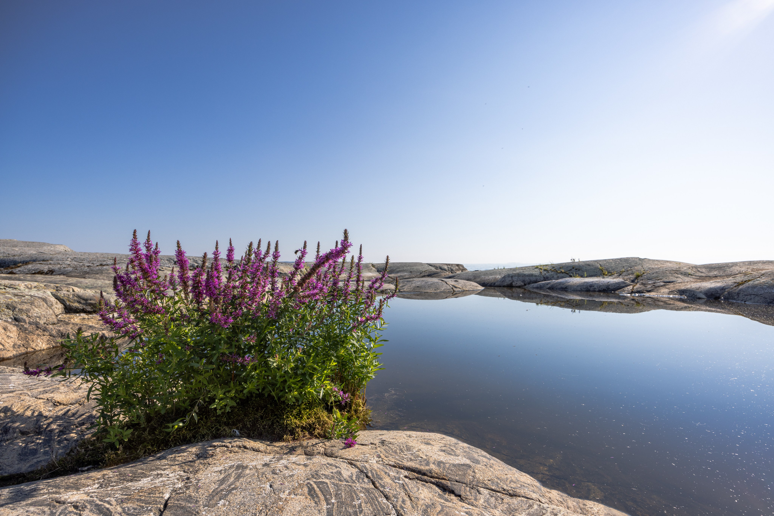 Ладога. Автомобильная фотография в Санкт-Петербурге