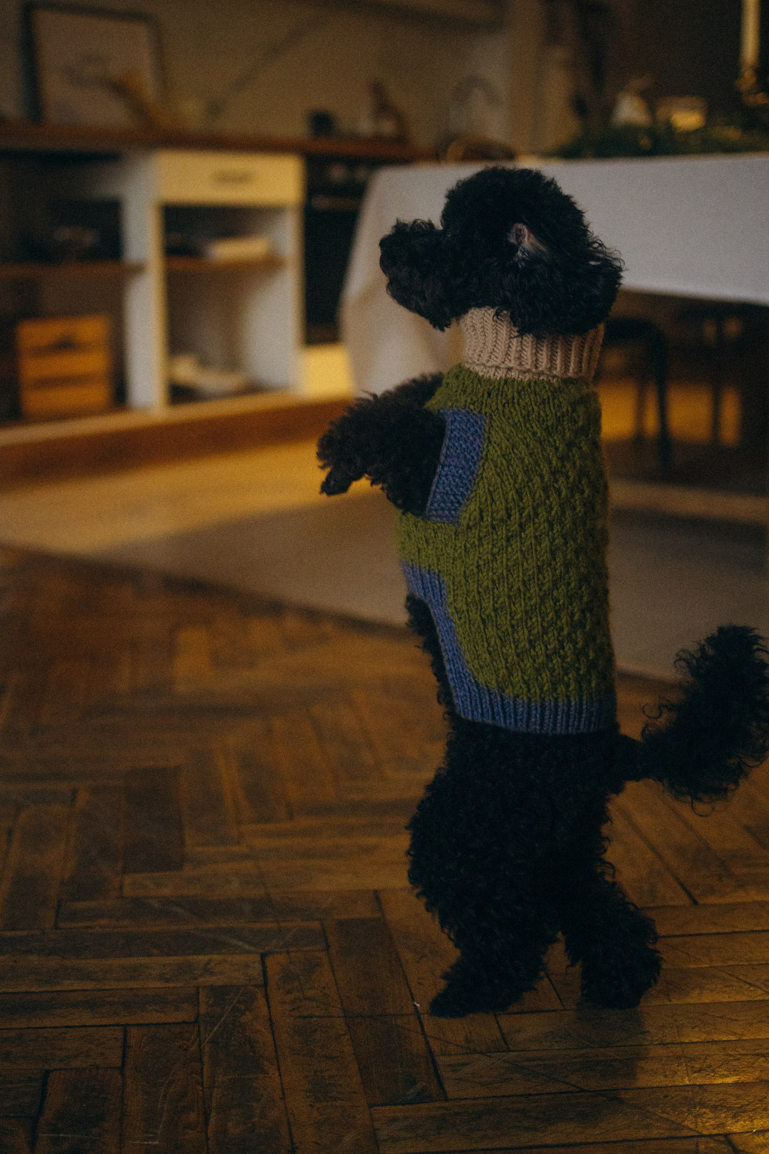 Полина и Мия. Фотораф — анималист Мария Шистка