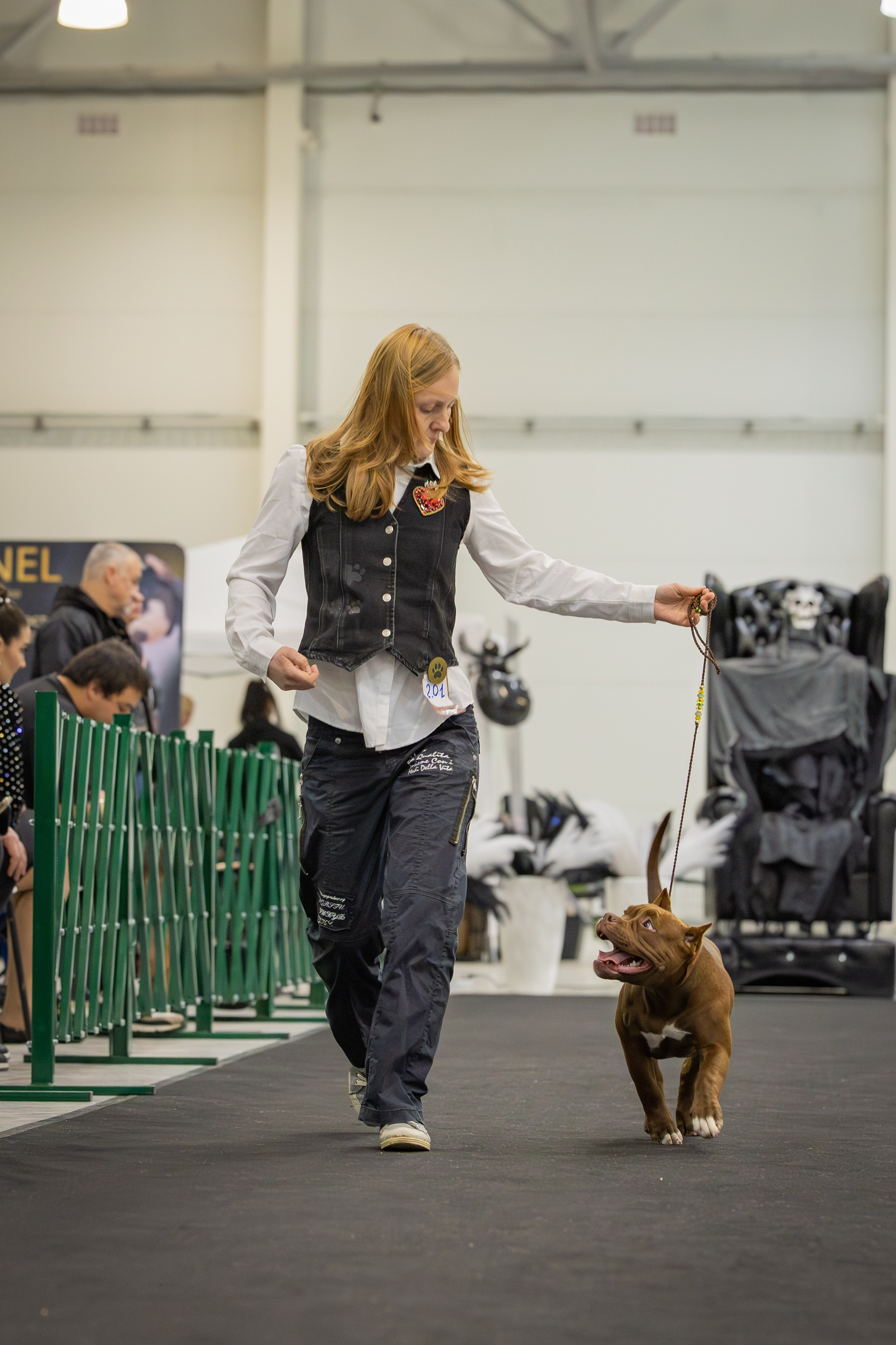 АВКС. Виктория Михайловская. Фотограф-анималист. Москва