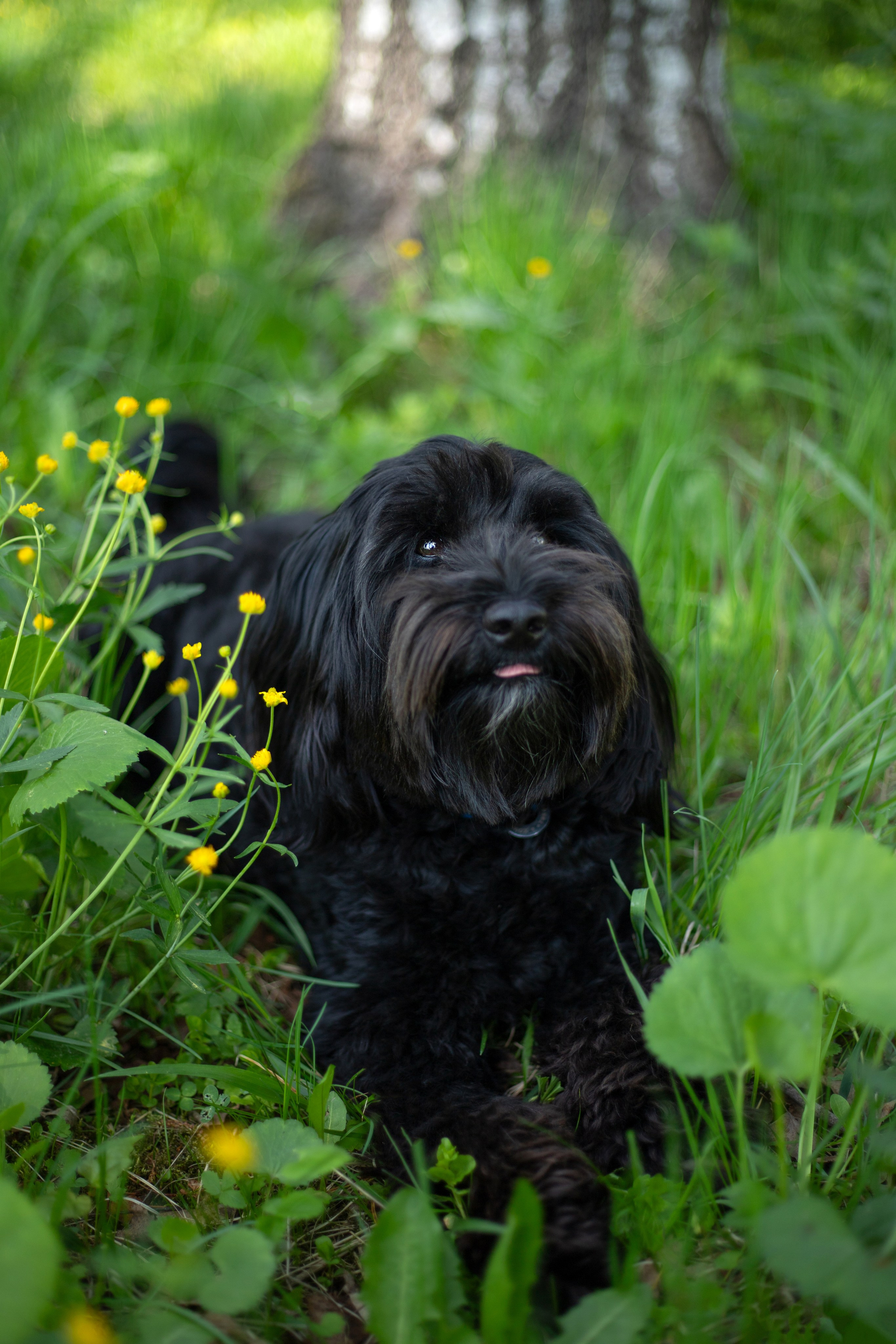 Портфолио. Фотограф-анималист Анна Леонтьева • Москва