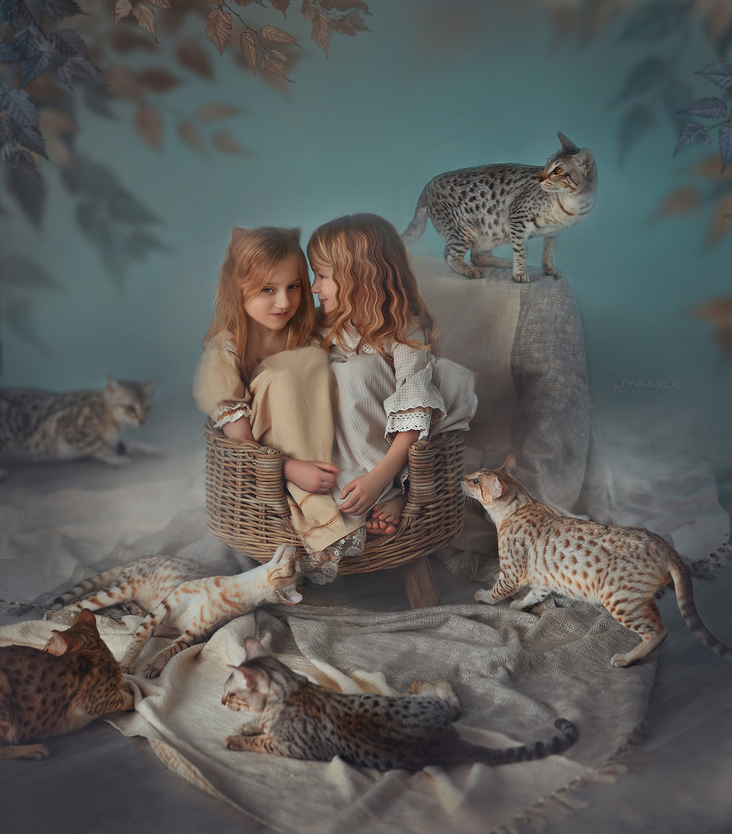 фотосессия с кошками, саванны, котята, фото с котиками, девочки с котиками