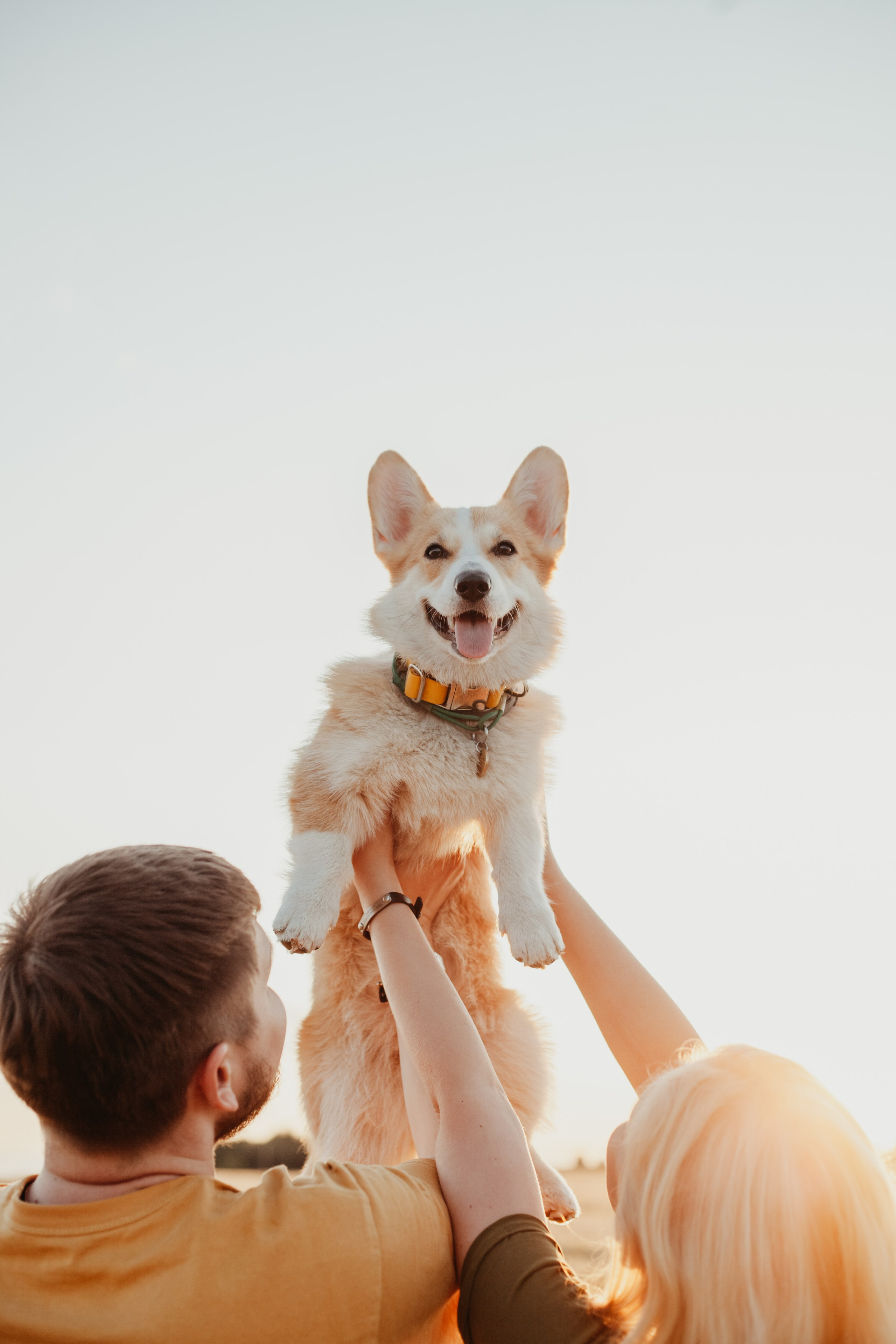 Илья Юля и Шанти. Семейный фотограф Москва