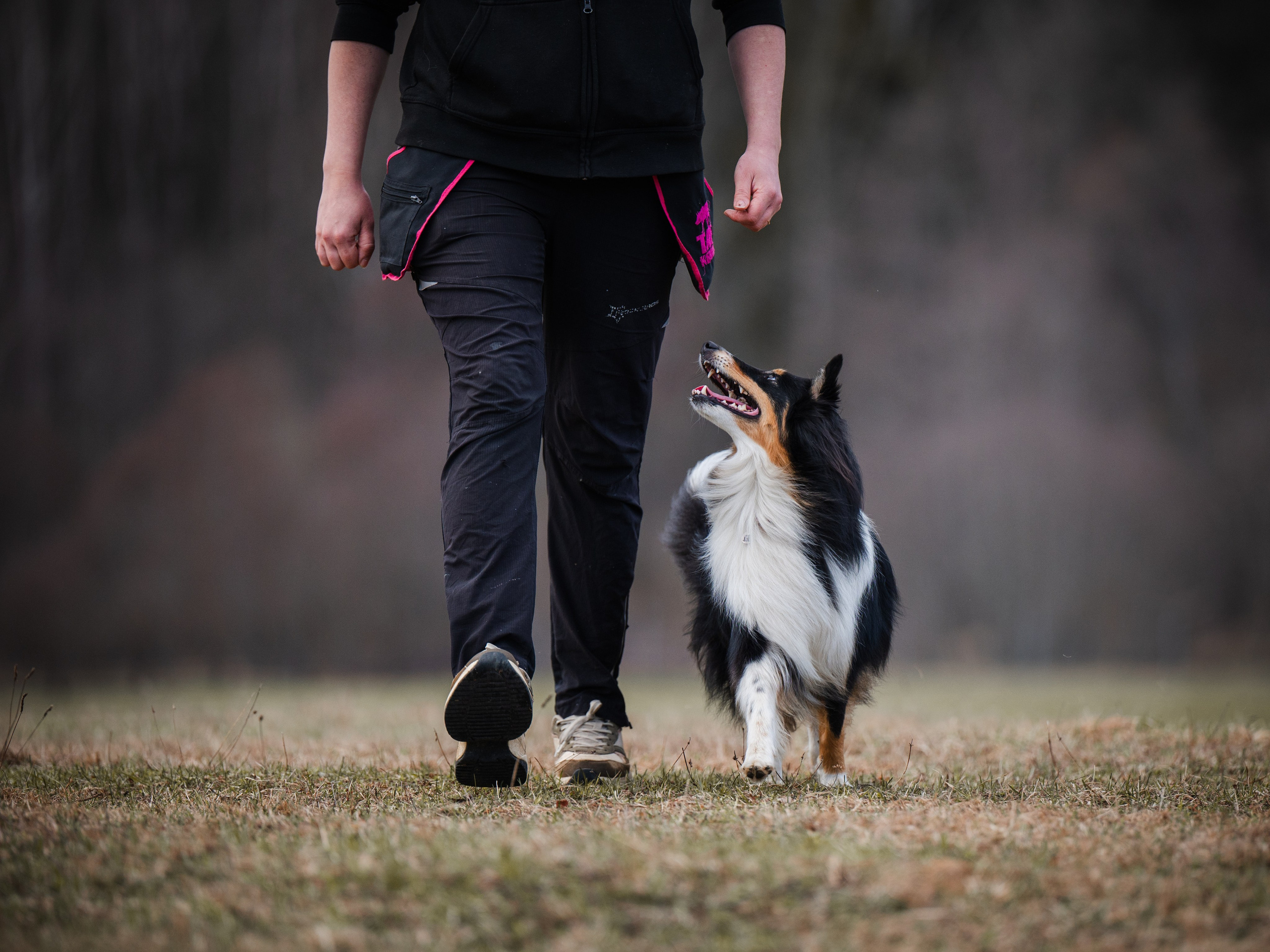 Обидиенс. Семейный фотограф анималист Ананьева Мария — Москва