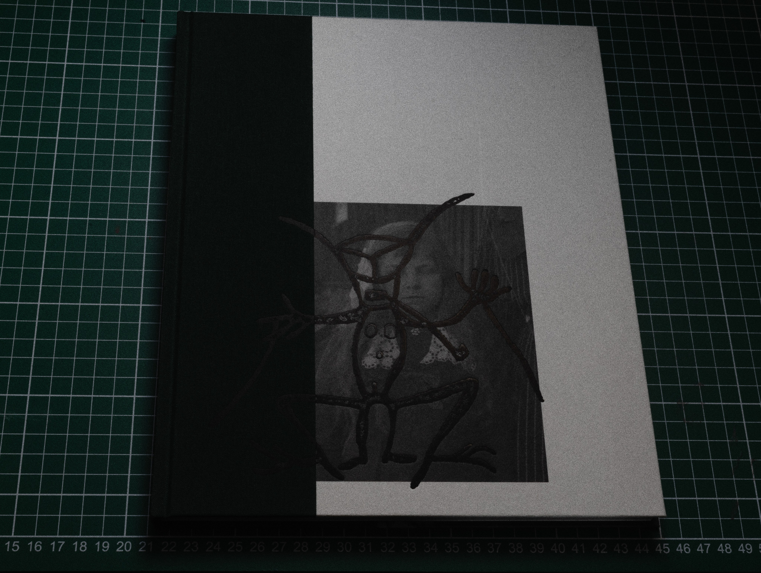 Фотокнижная библиотека Светы Кавериной. Фотограф и исследователь фотографии из Санкт-Петербурга Елизавета Веприцкая