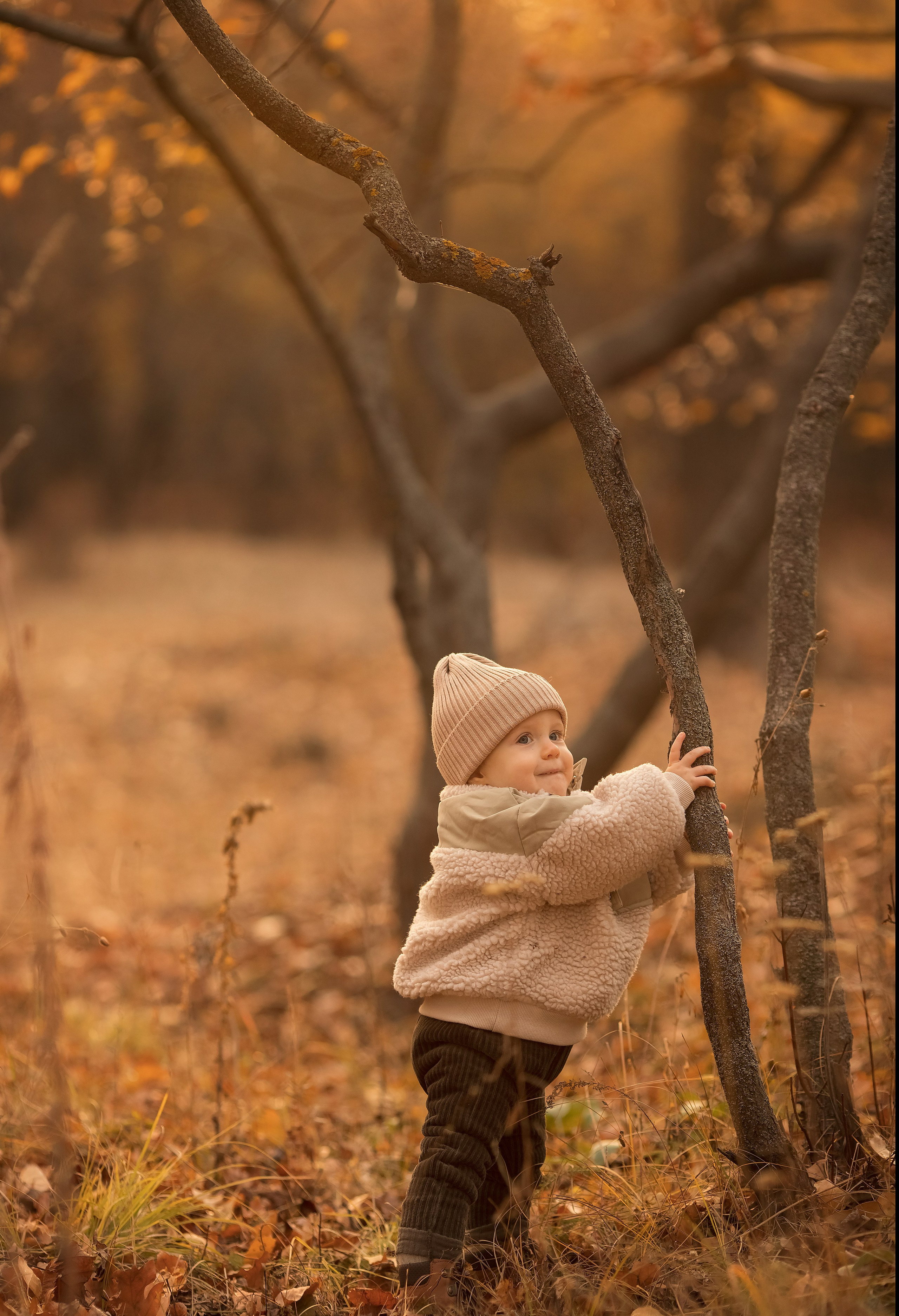 Осень в лесу. Семейный и детский фотограф в Саратове Полина Коткина