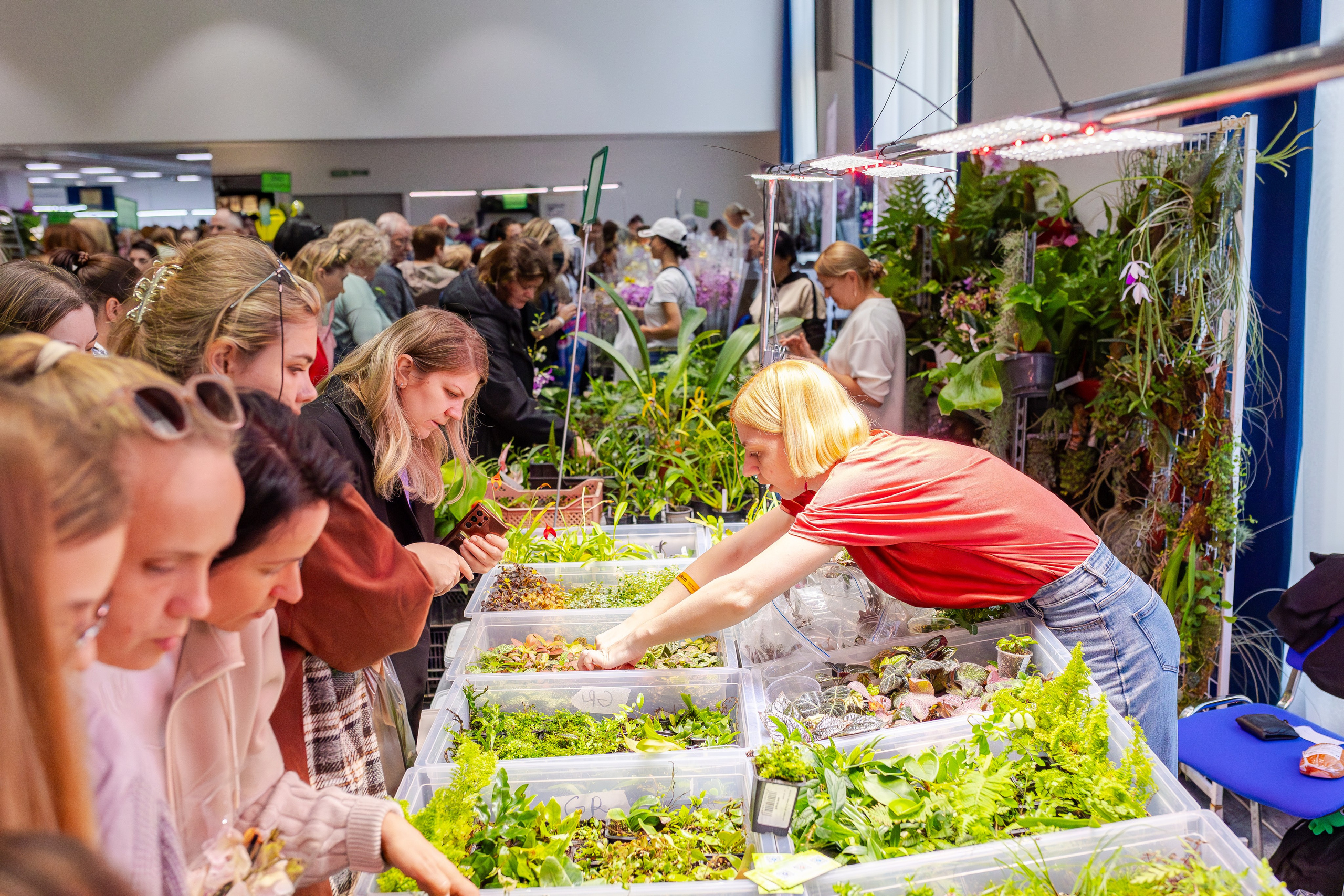 Орхидиум сентябрь 2025. Александра Куликова фотограф, Москва
