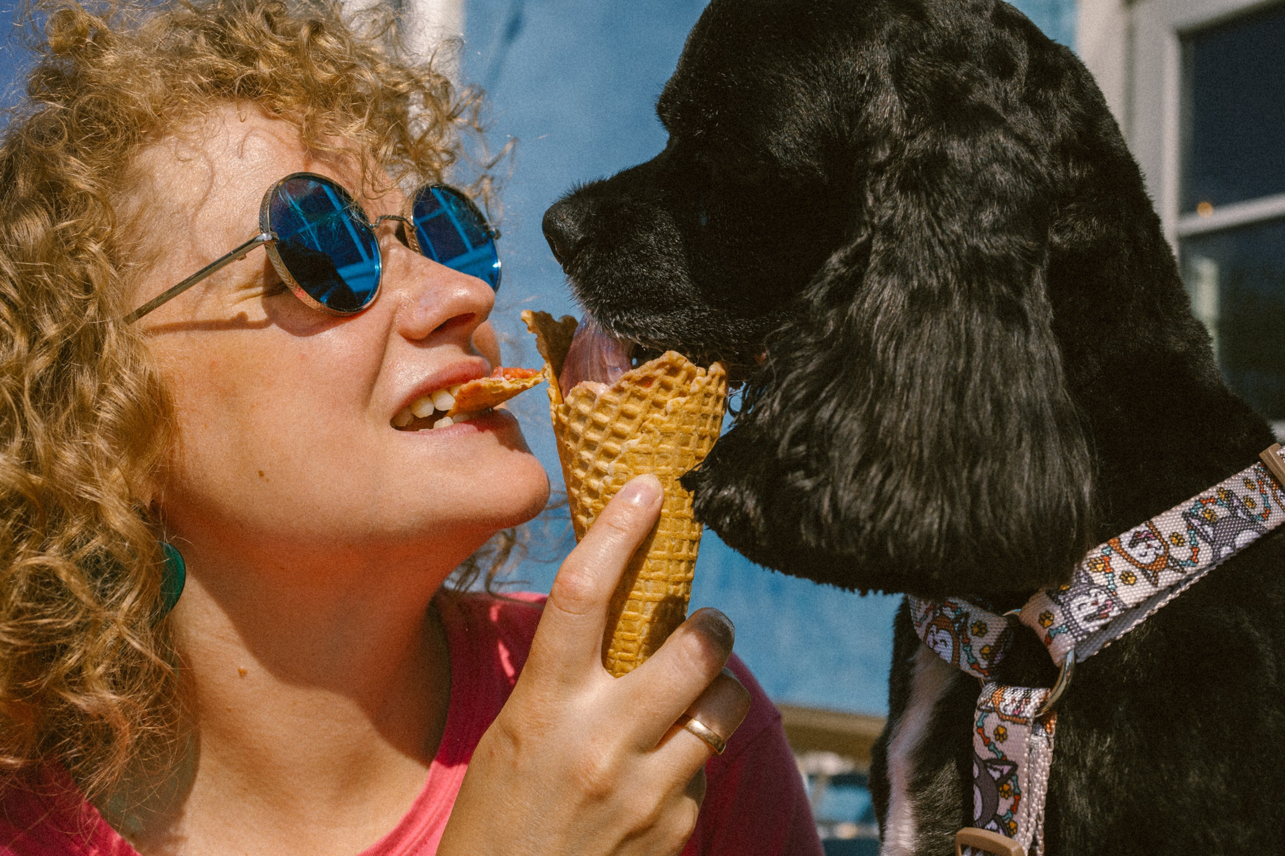 Катя и Плю. Главная