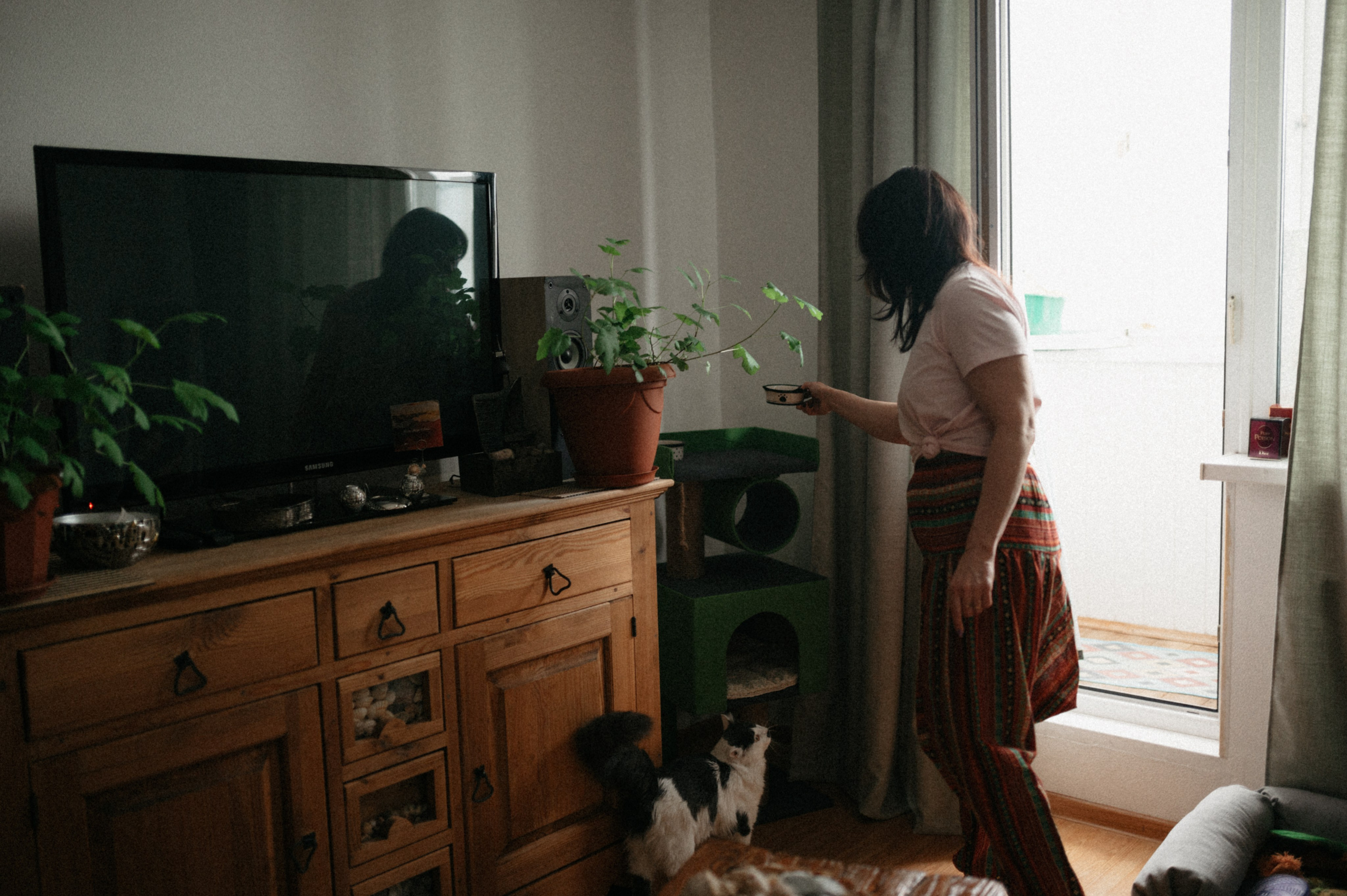 Оля и её меховая банда. Фотограф анималист в Москве Ольга Агушева