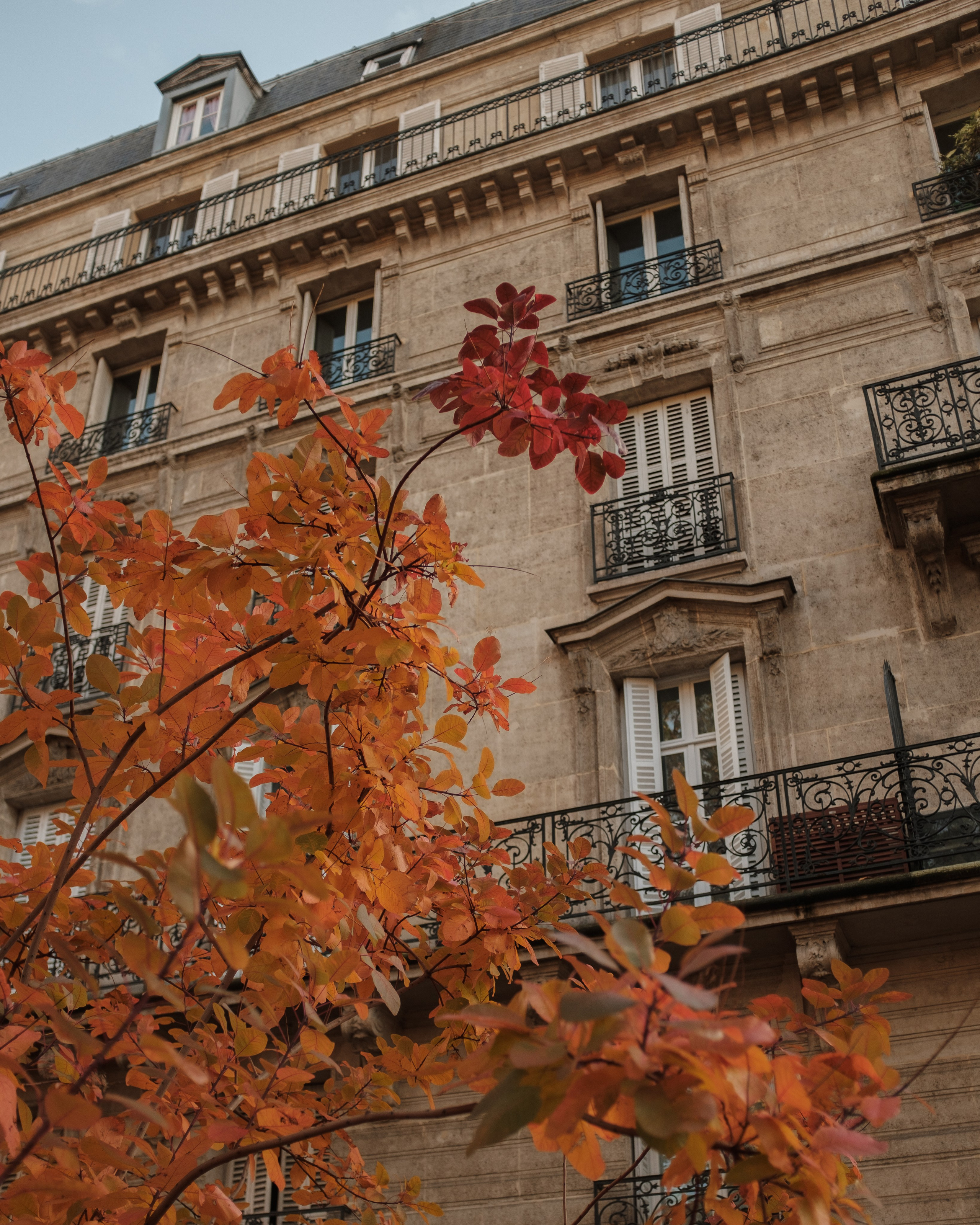 Франция. Фотограф Екатерина Катунова | Москва