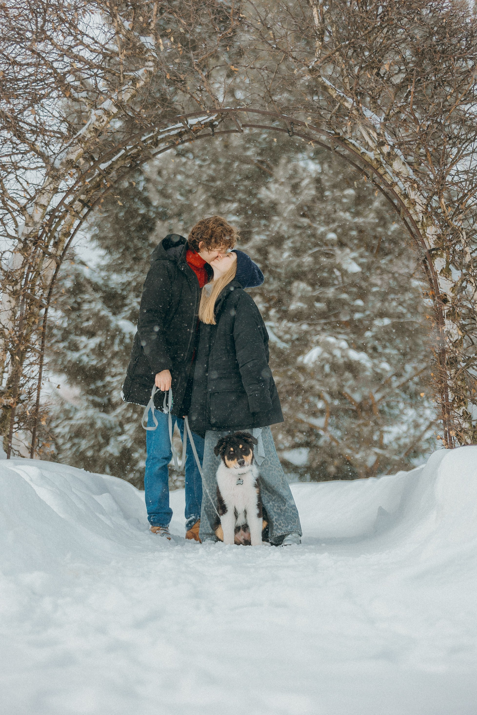 Рей со своей семьей. Фотограф. Фотограф-анималист. Москва