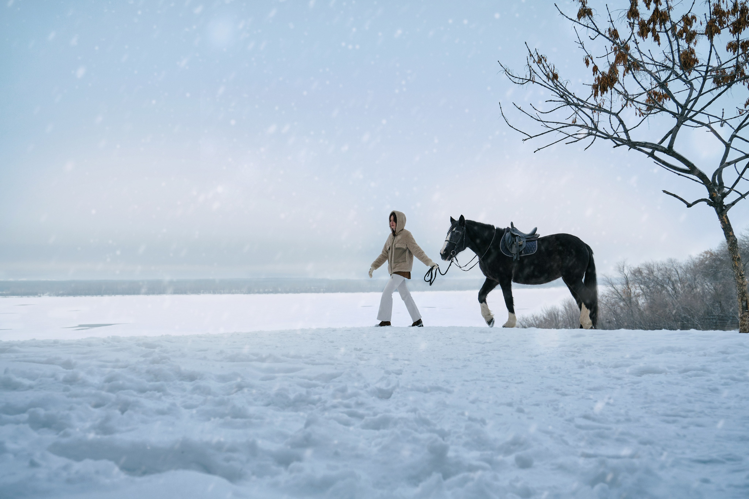 Зимняя фотосессия на улице. Идеи фотосесси зимой в лесу, с лошадью