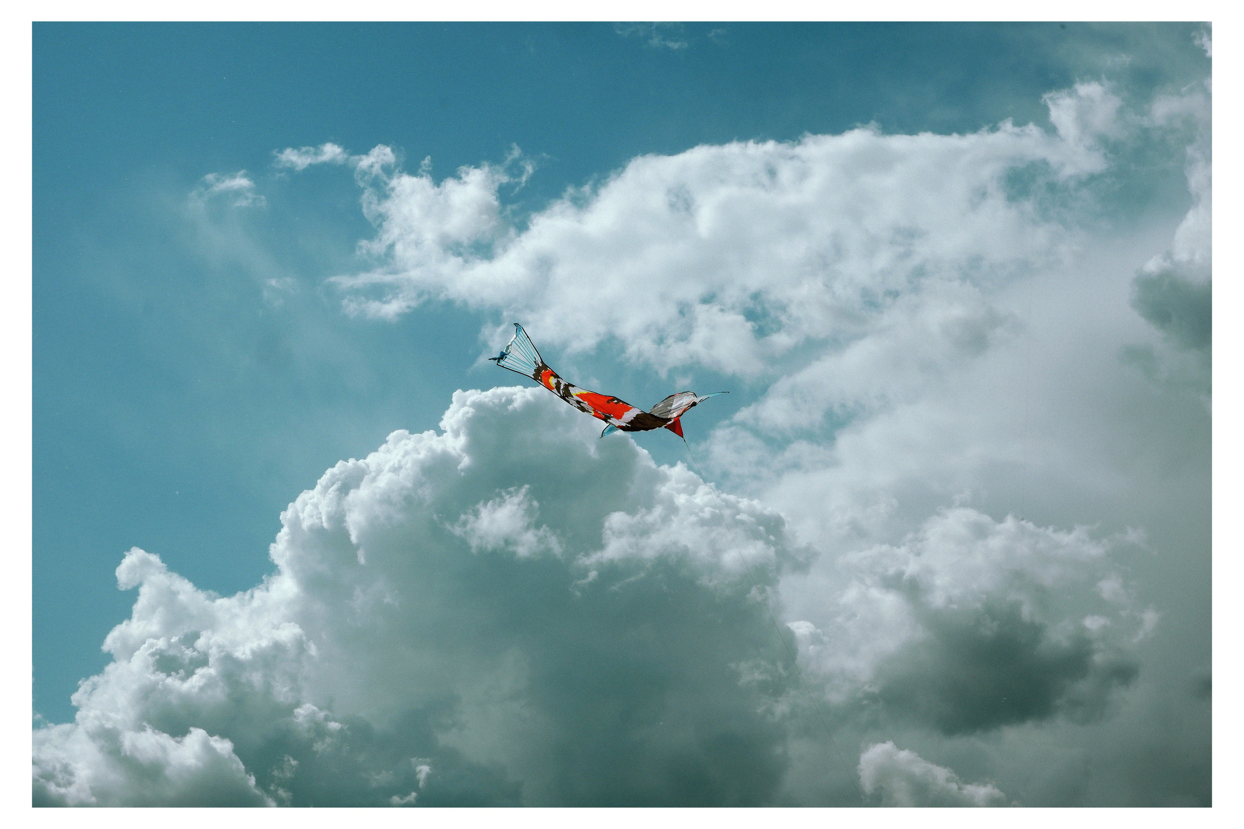 ANNA — PHOTOGRAPHER