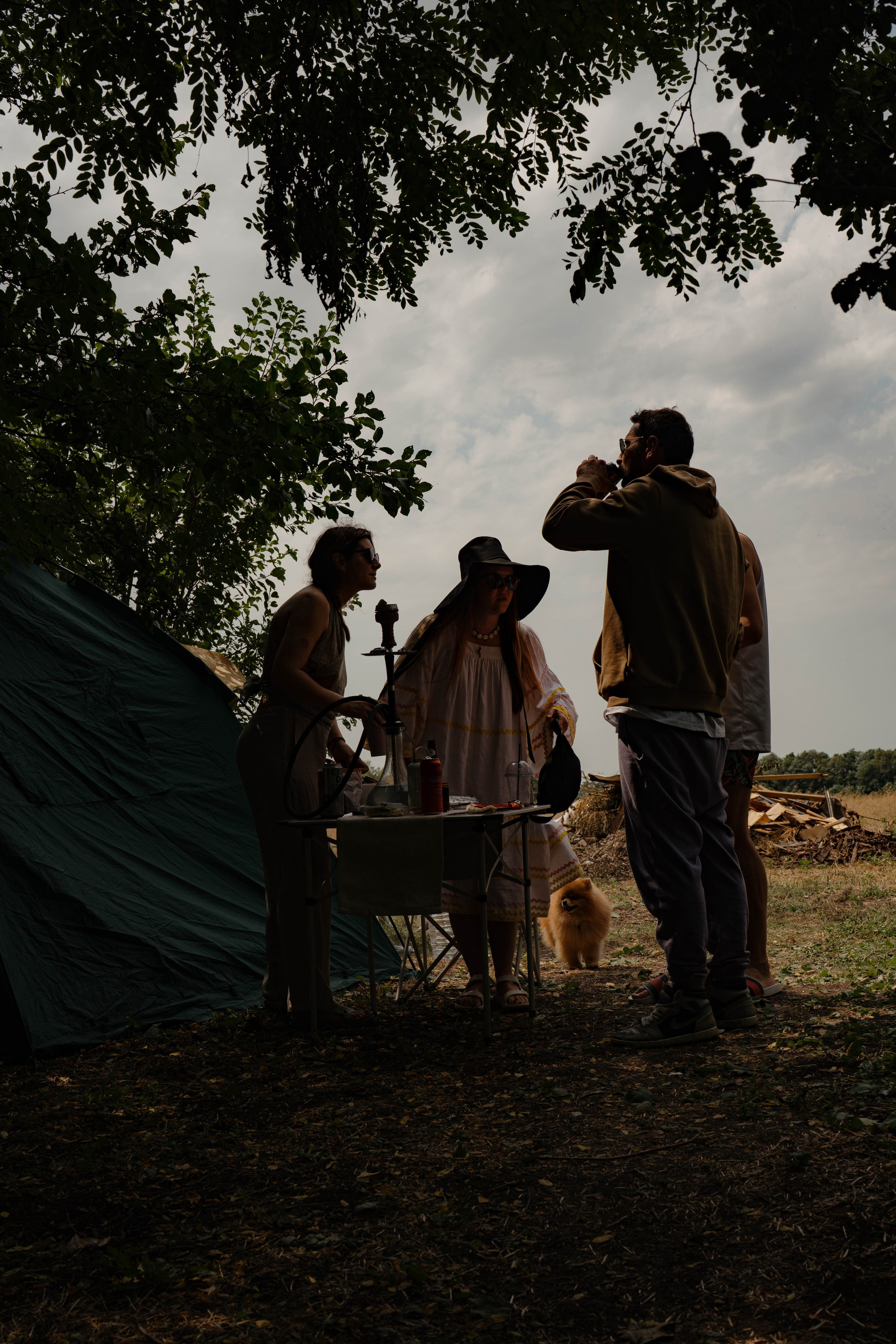 ASS FAMILY | СОН В ДЕРЕВНЕ | АВИАРЕЖИМ 8.0