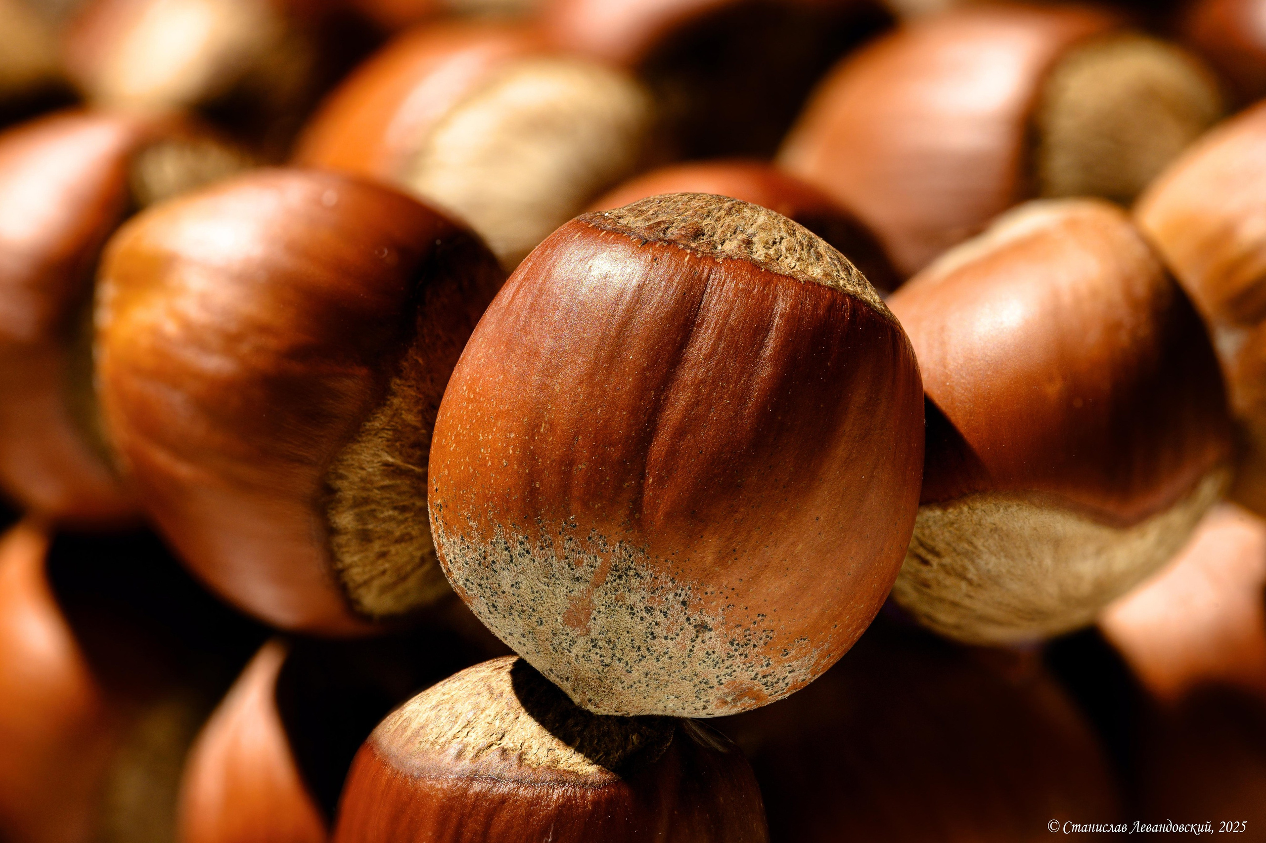 Предметы с матовой поверхностью. Предметный фотограф в Москве Станислав Левандовский