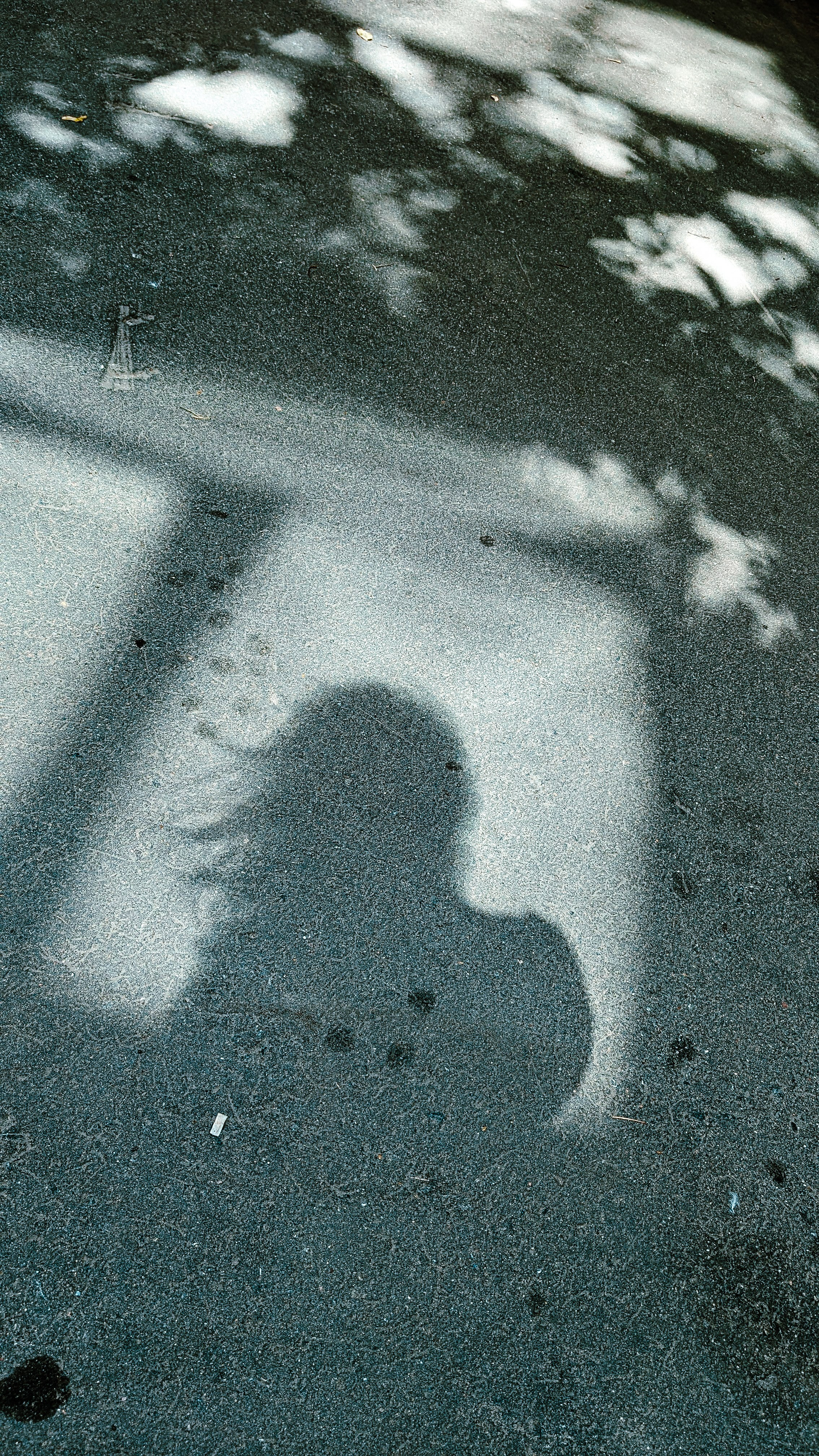 Мобильная фотография. Интерьерный и портретный фотограф в Москве Анна Моногарова