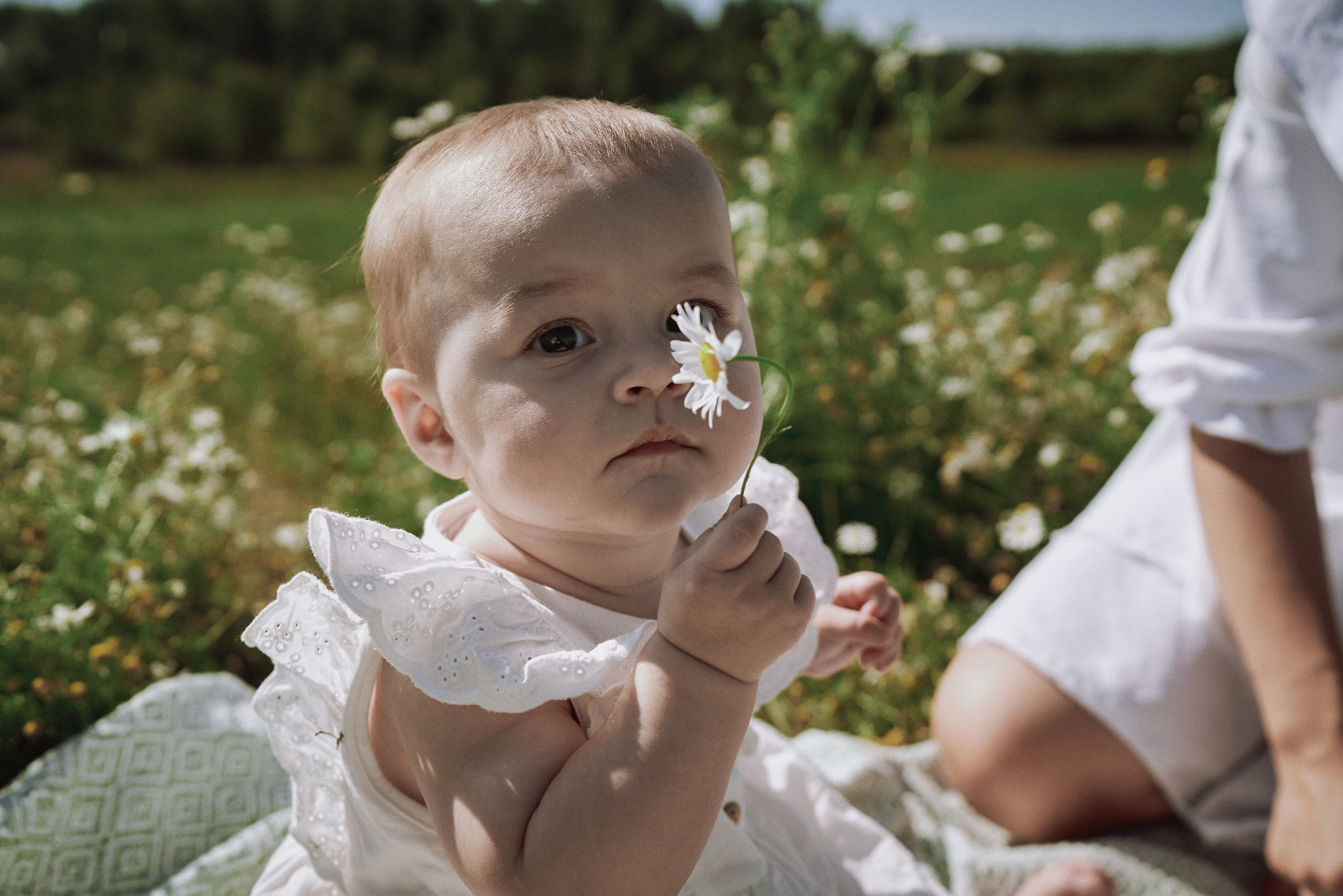 Поле с ромашками. Фотограф в Санкт-Петербурге | Аня Маленчук