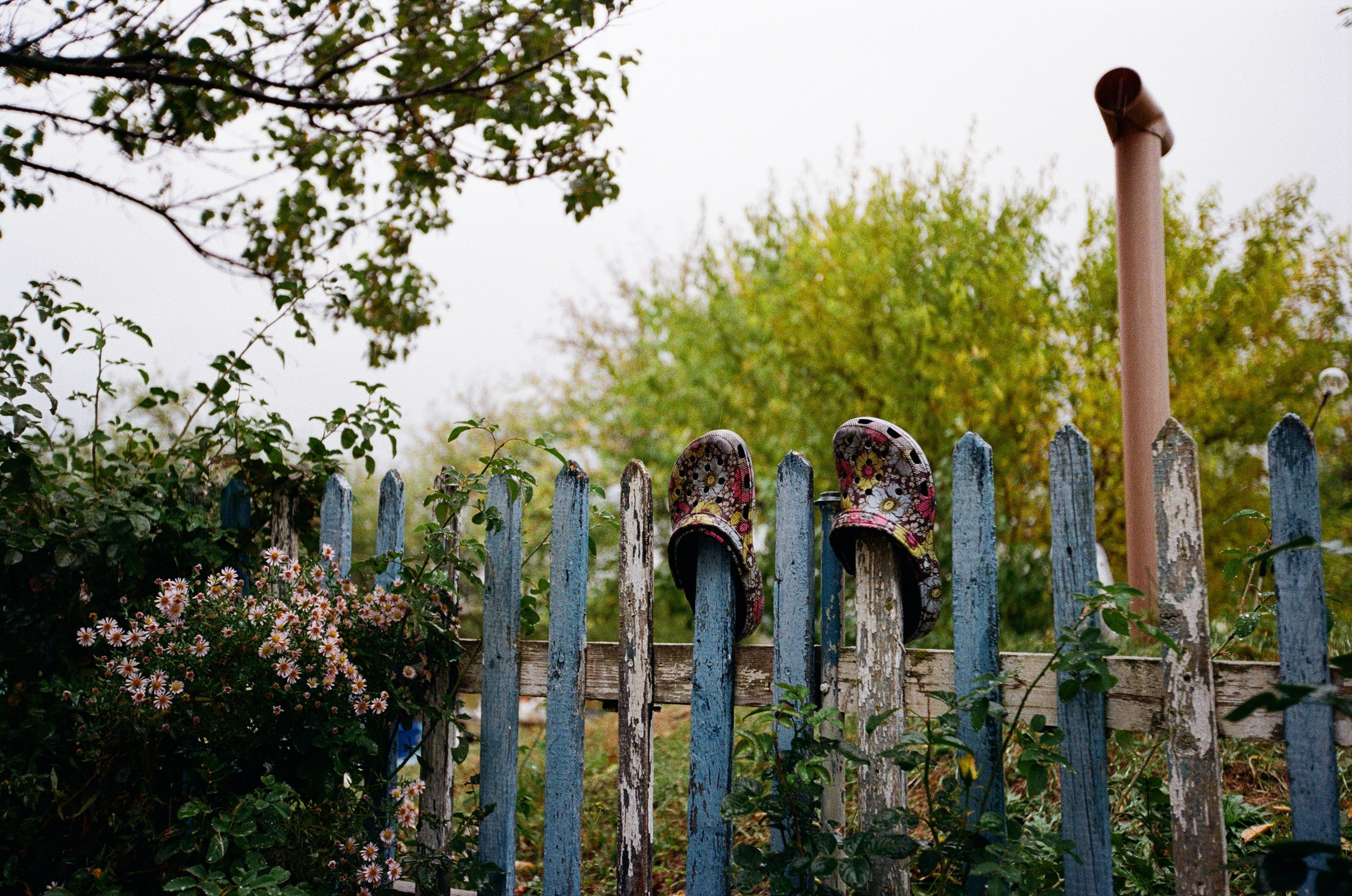 Снято на пленку. Семейный LIFESTYLE фотограф в Москве