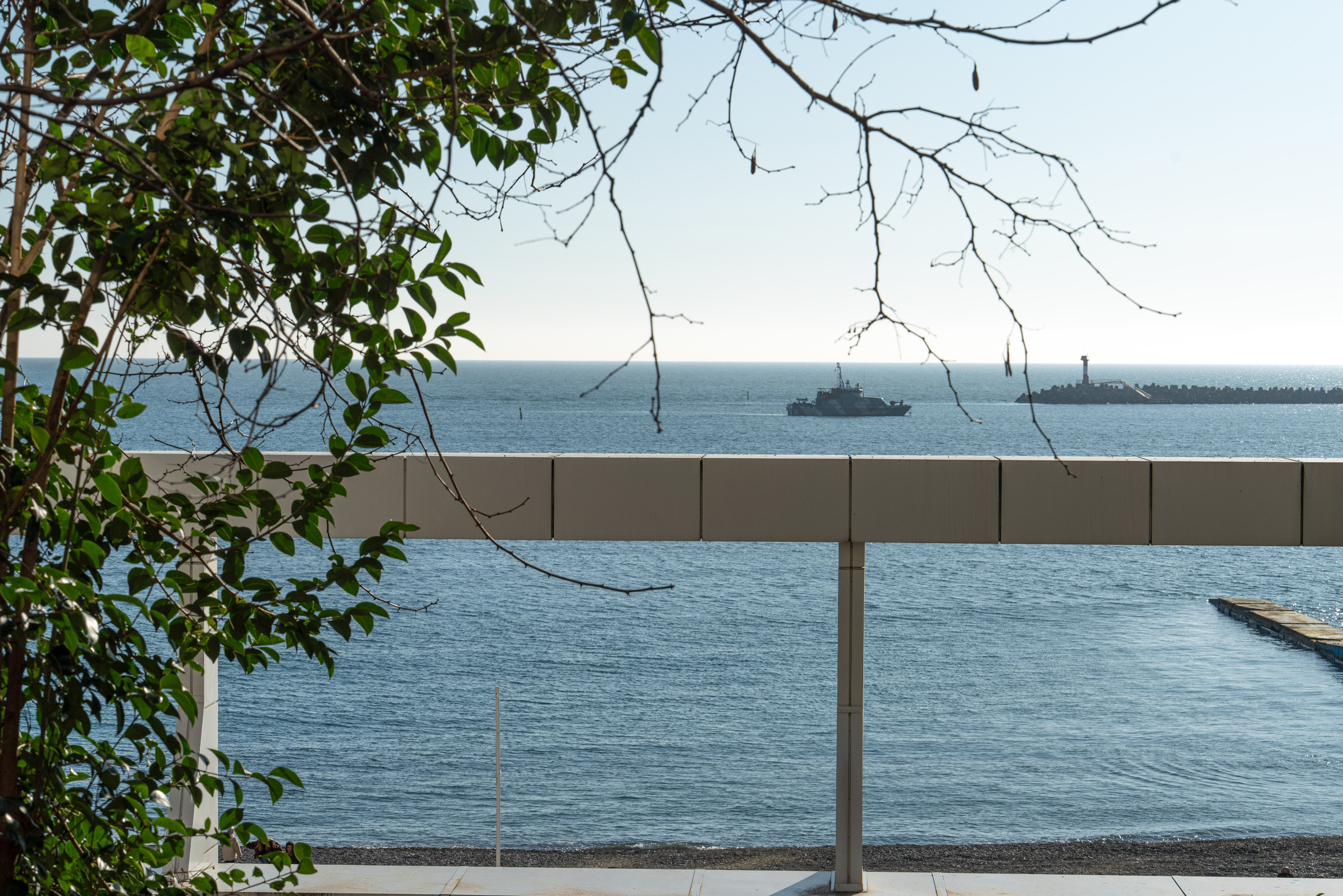 24032026. Фотограф Сочи