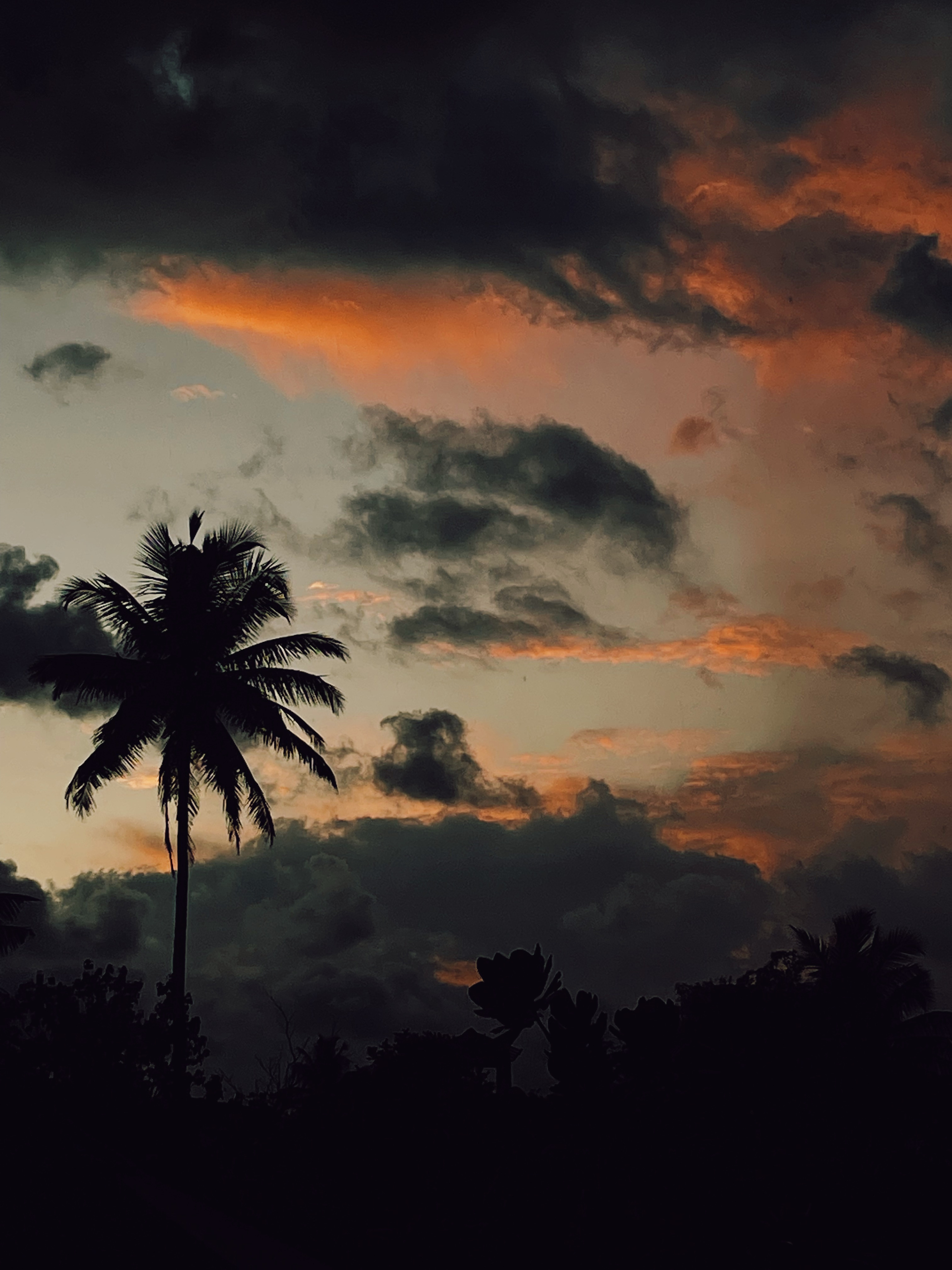 Курс по мобильной фотографии «ФОТОЛОВИСТА»