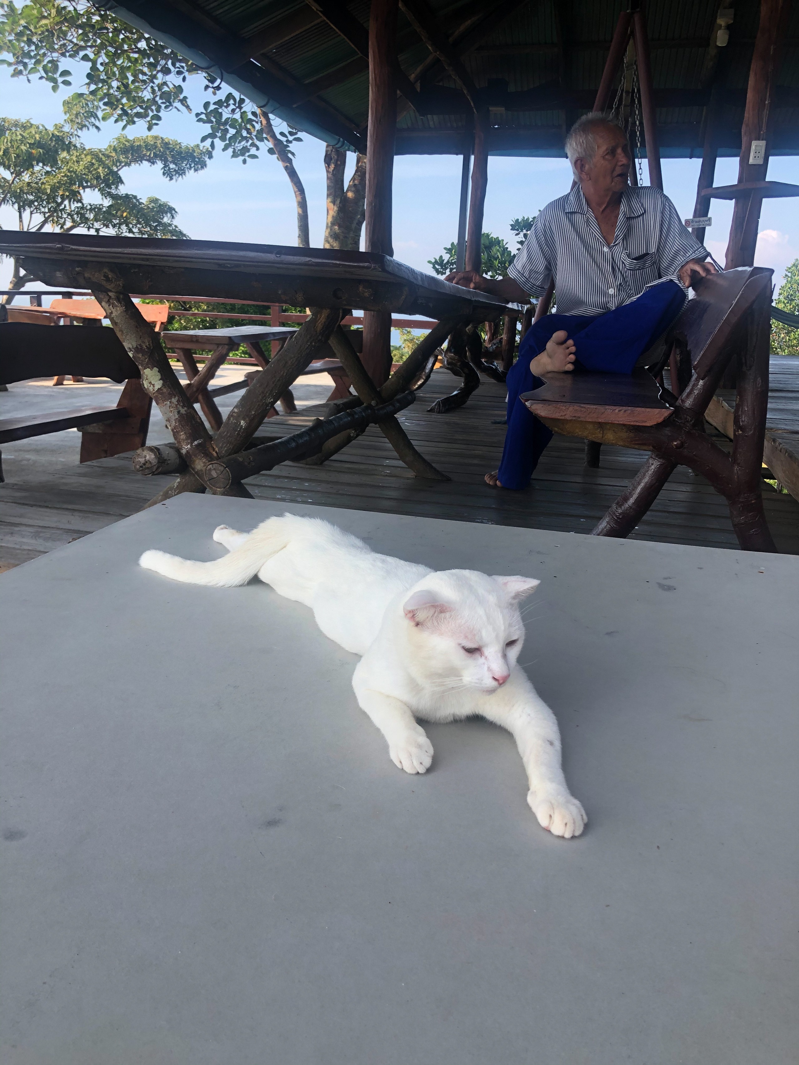 Курс по мобильной фотографии «ФОТОЛОВИСТА»