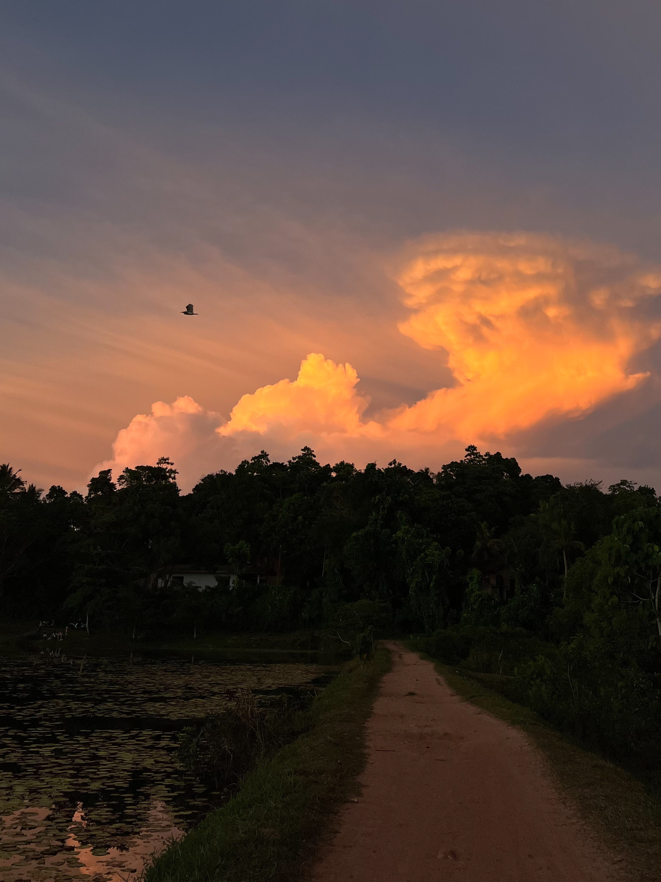 Курс по мобильной фотографии «ФОТОЛОВИСТА»