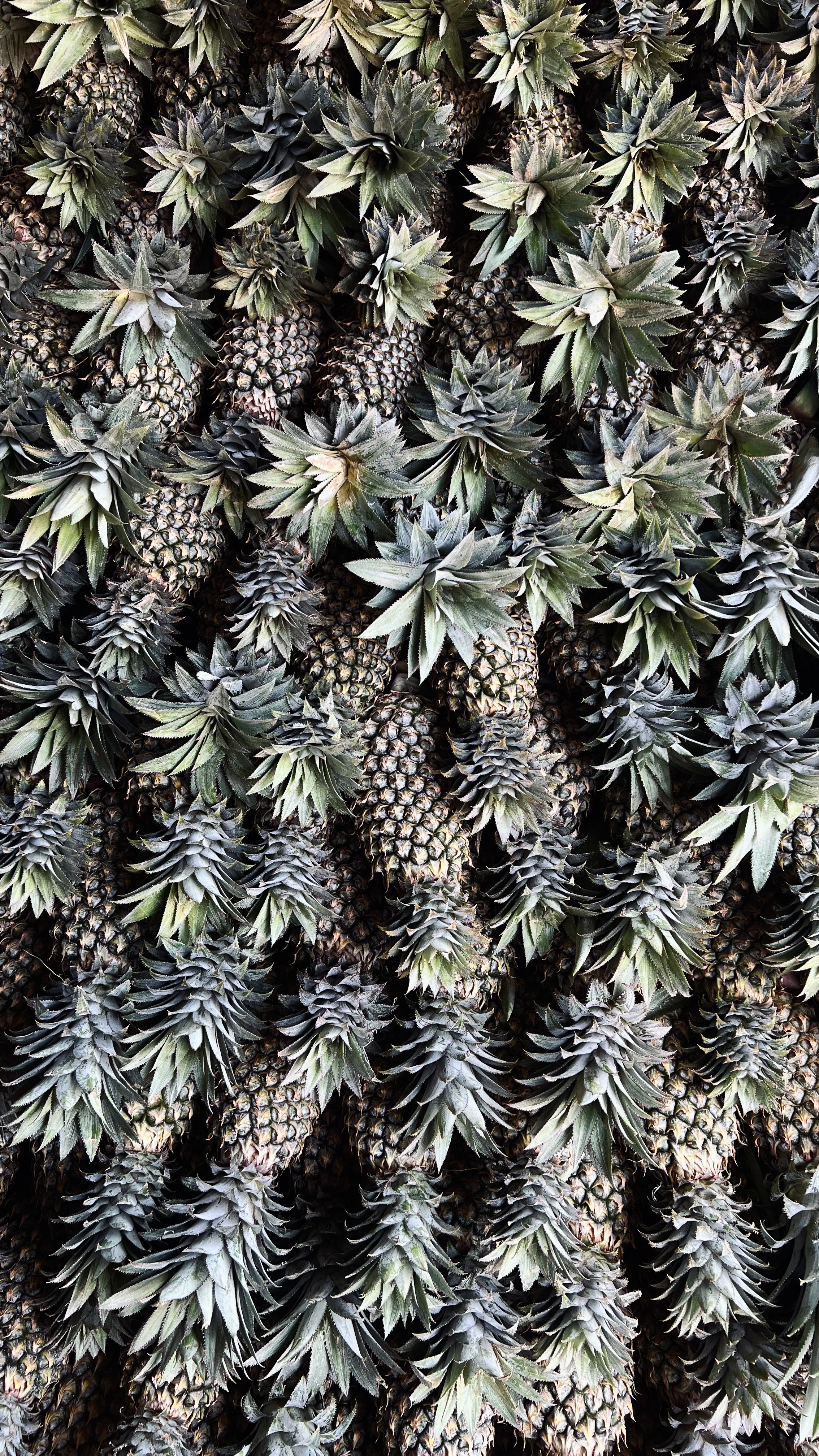 Курс по мобильной фотографии «ФОТОЛОВИСТА»