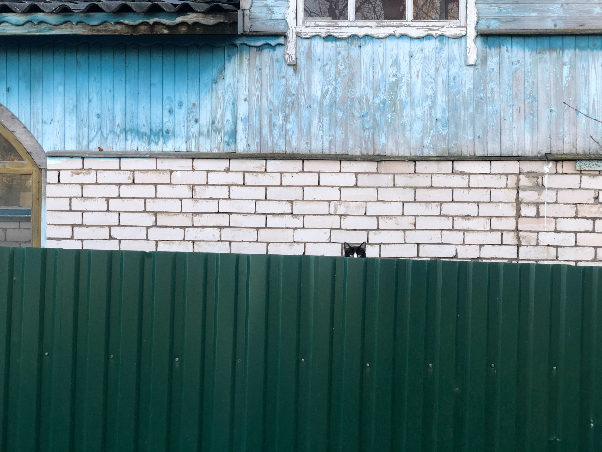 Курс по мобильной фотографии «ФОТОЛОВИСТА»