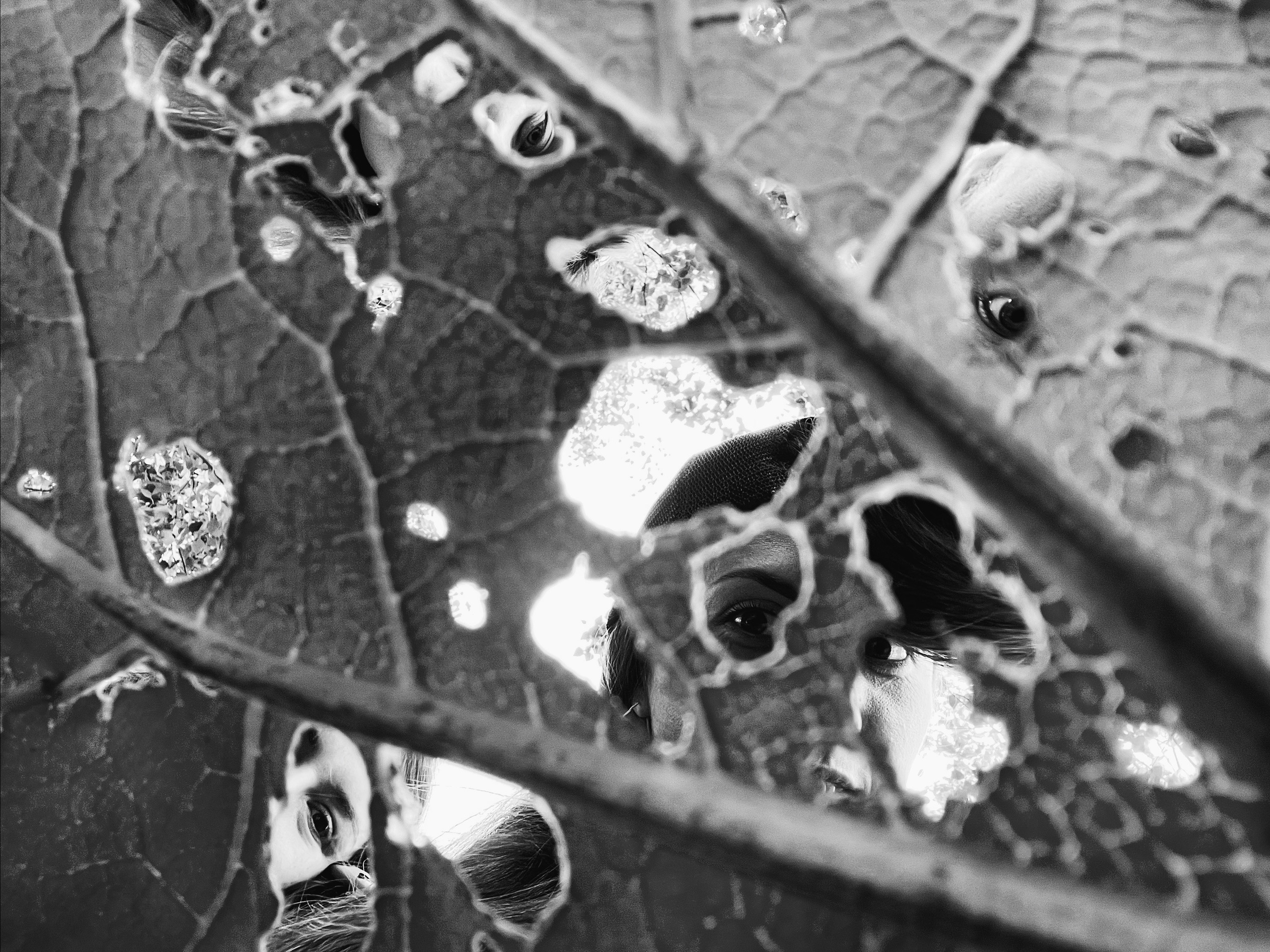 Курс по мобильной фотографии «ФОТОЛОВИСТА»