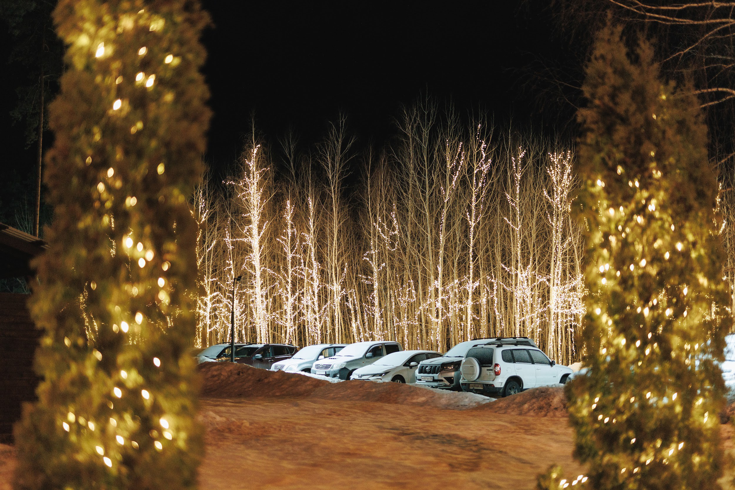 Goritsy | Новый год 2024. Свадебный и репортажный фотограф в Воронеже Сергей Максимов