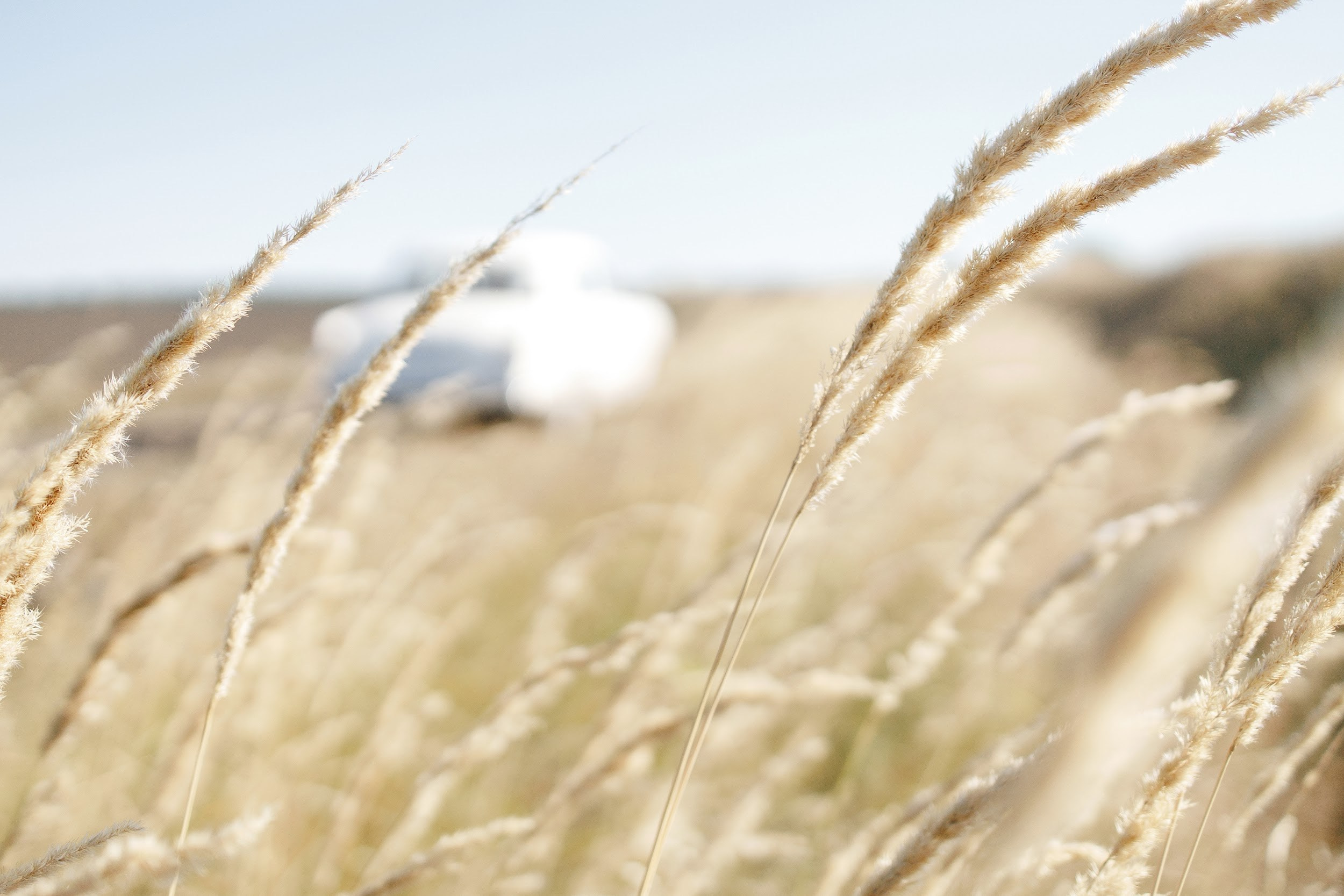 Евгения и Василий. Свадебный и репортажный фотограф в Воронеже Сергей Максимов
