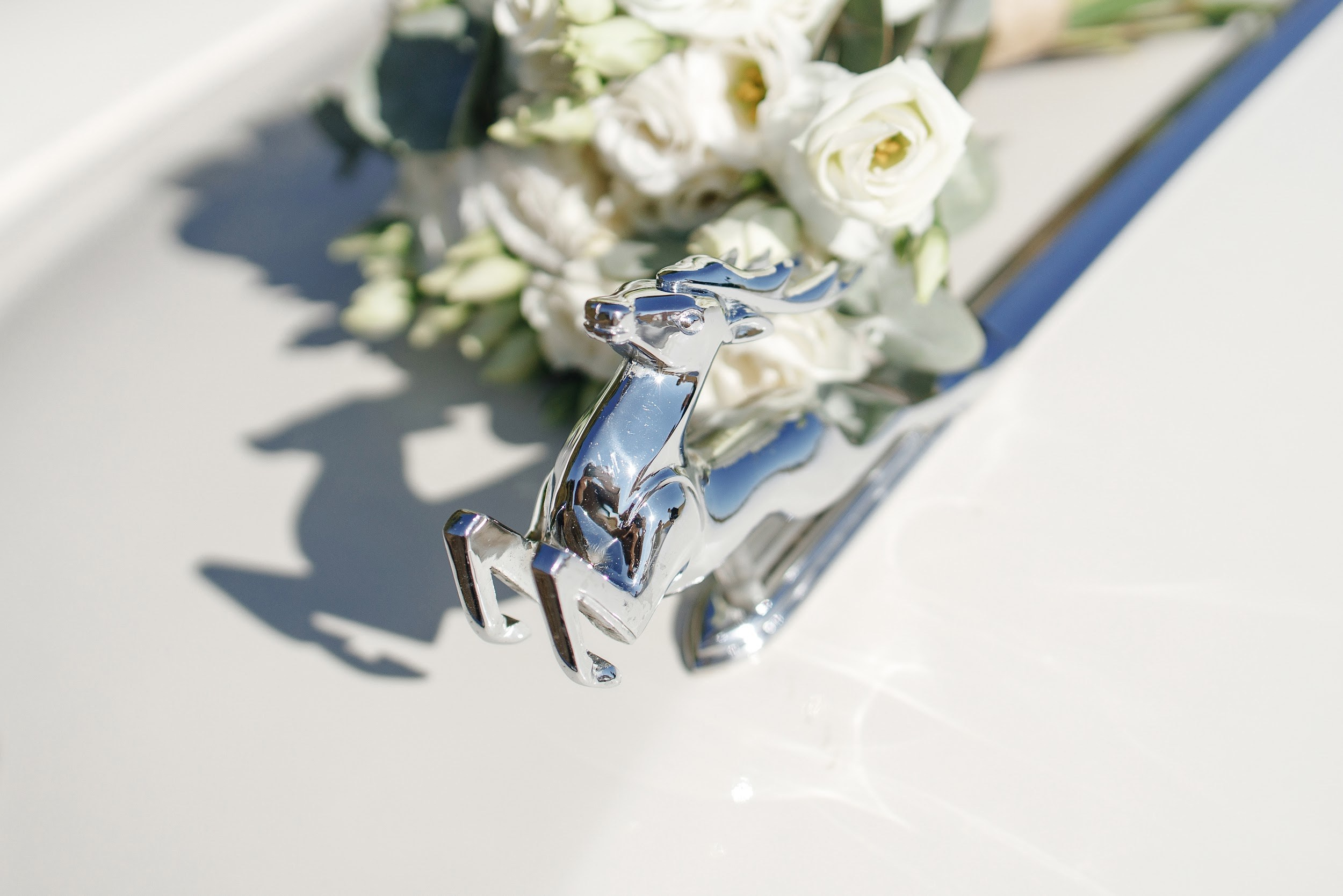 Евгения и Василий. Свадебный и репортажный фотограф в Воронеже Сергей Максимов