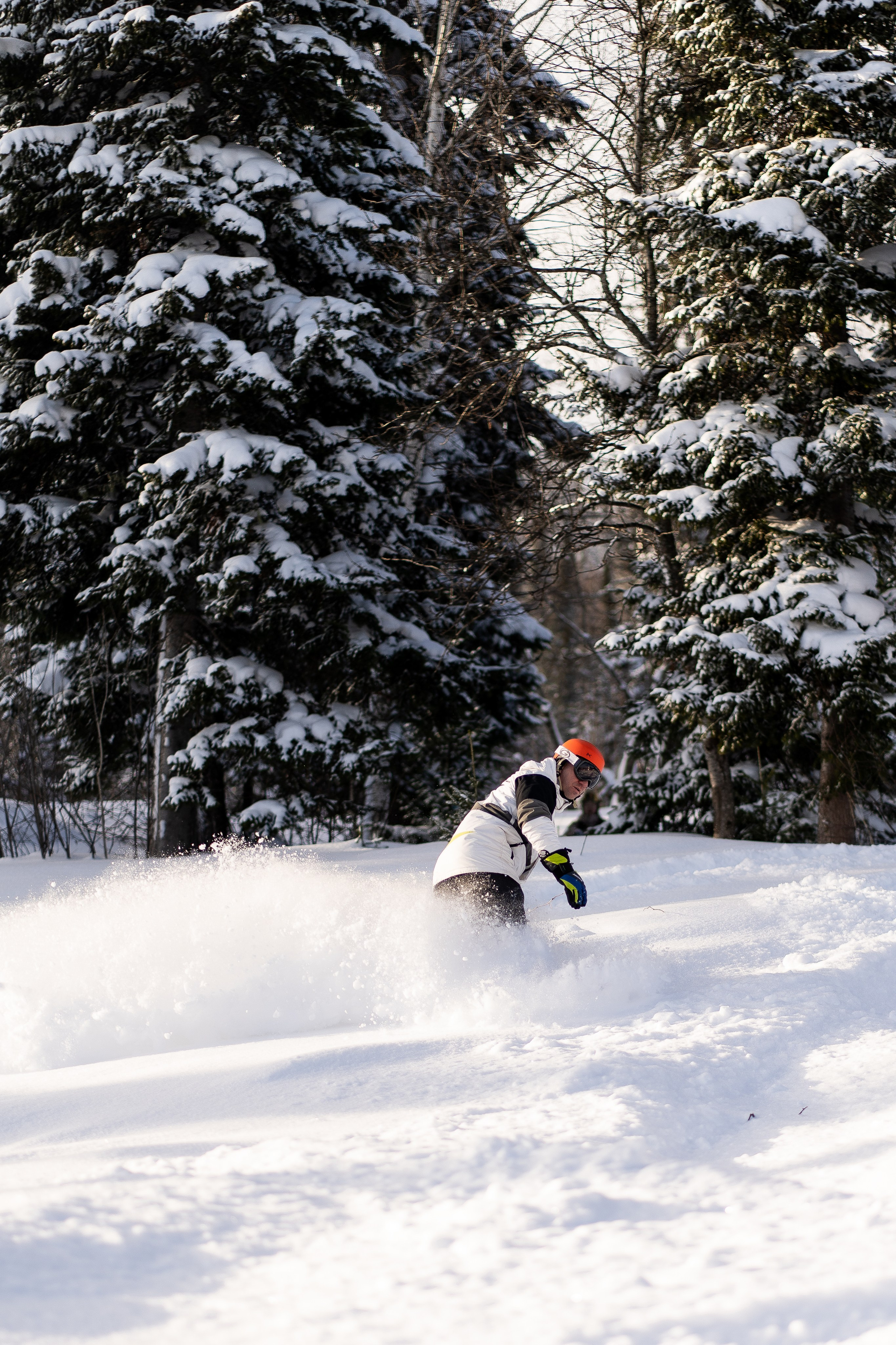 Джой 6.01. Анастасия Паршукова — фотограф Шерегеш Новосибирск