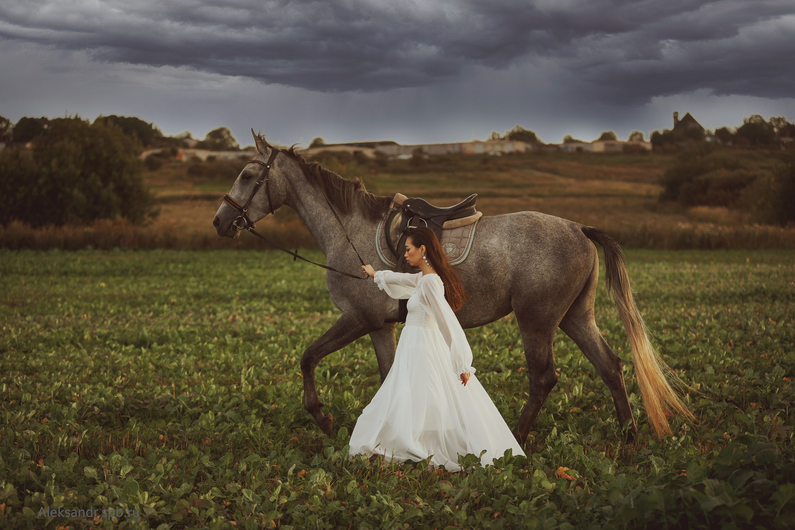 Творчество. 2323.рф, 2323