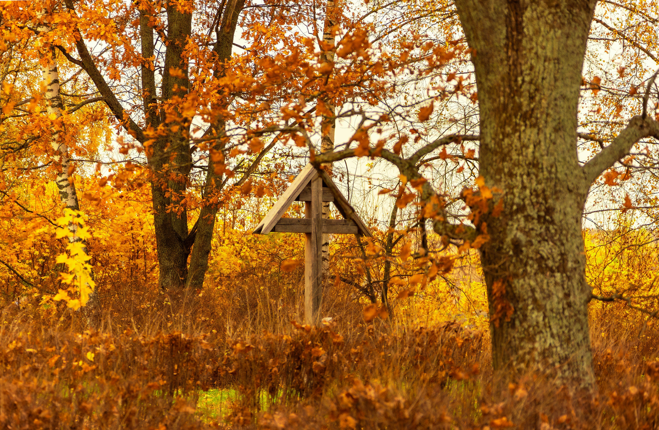 ПЛАНЕТА ЗЕМЛЯ (пейзаж). АЛЕКСЕЙ КОЛМАКОВ. Фотограф. Москва и Московская область