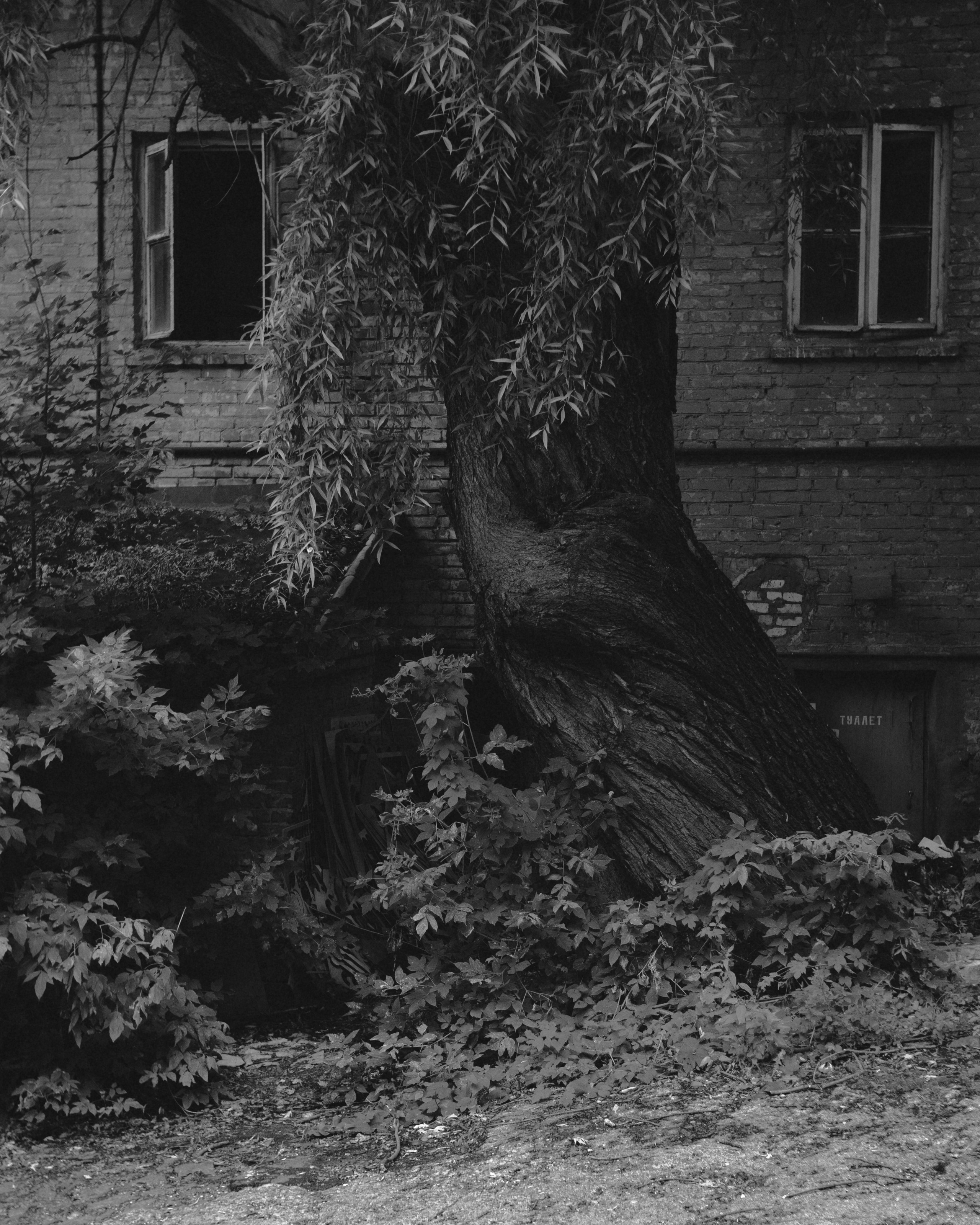 Жизнь. Игорь Гичка. Портрет с любовью