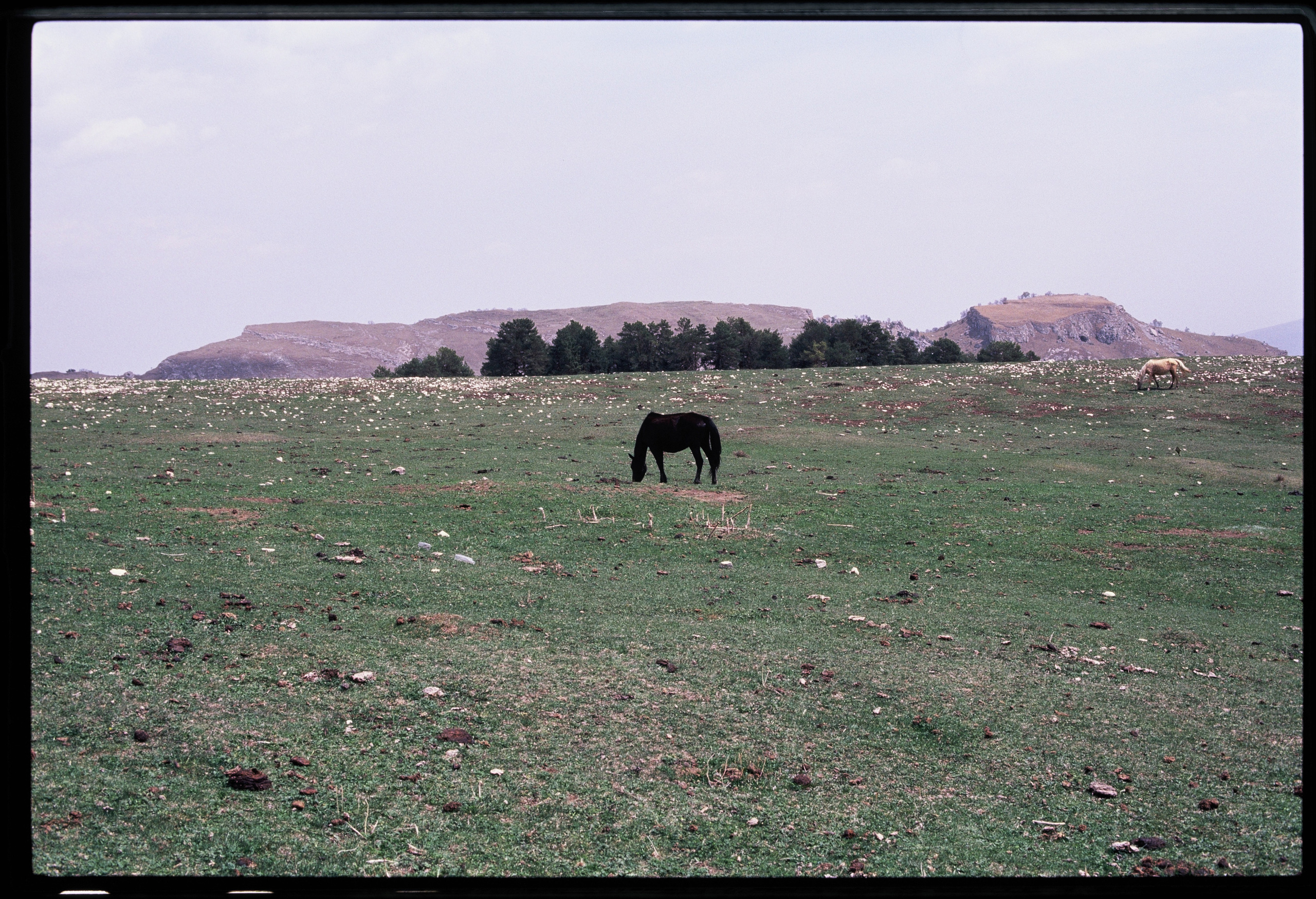 Travel. Yana Bulgakova Photographhy